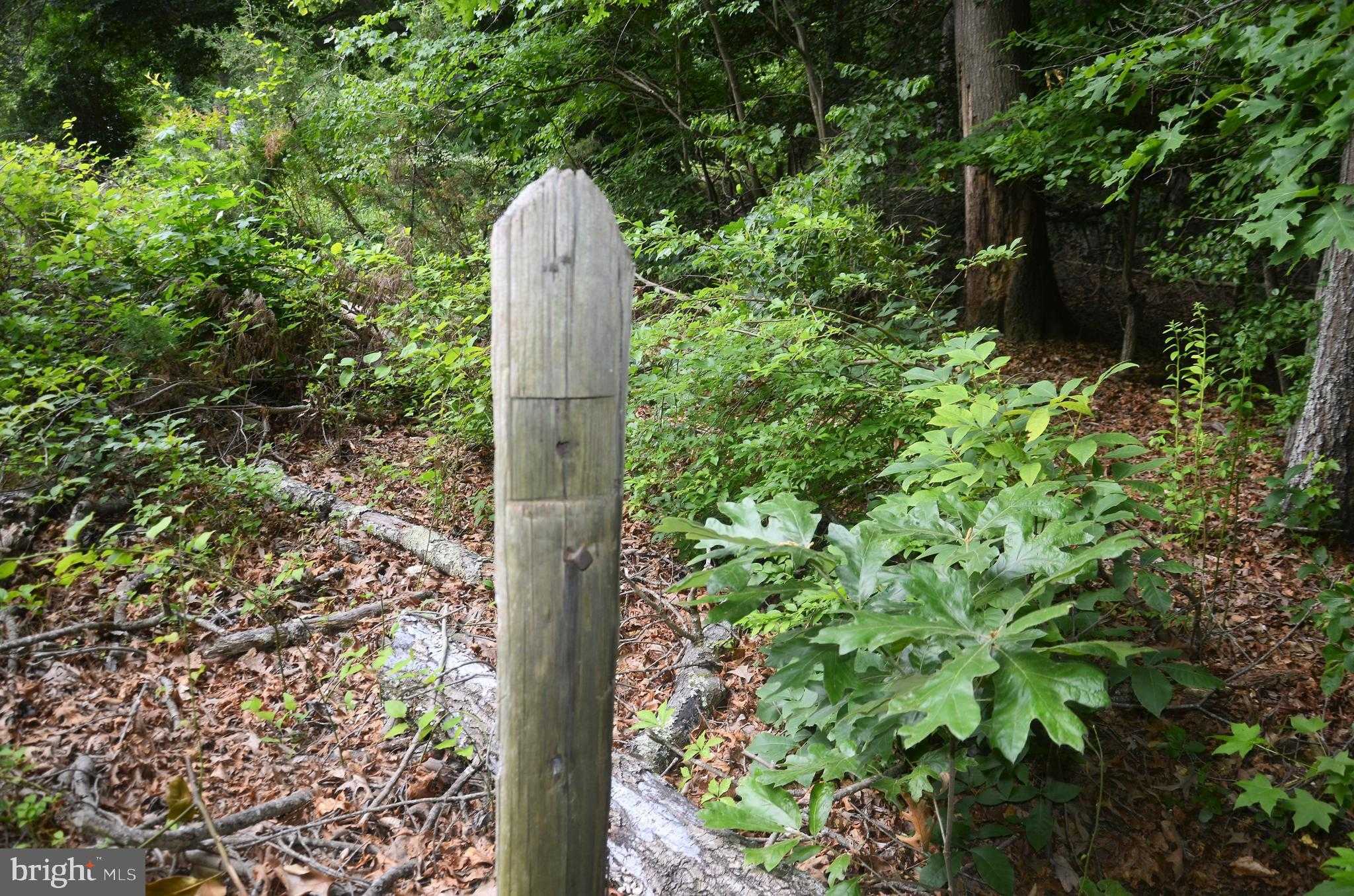 16106 Bealle Hill Rd photo 19