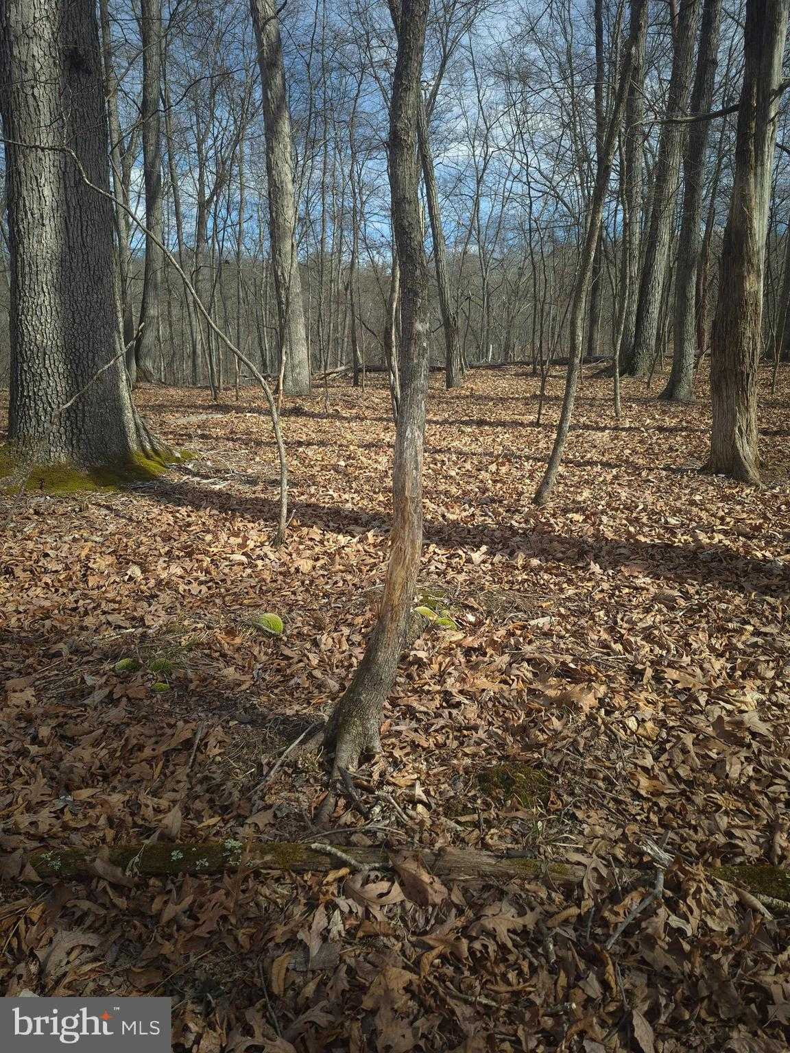 106 Hodges Ln photo 12