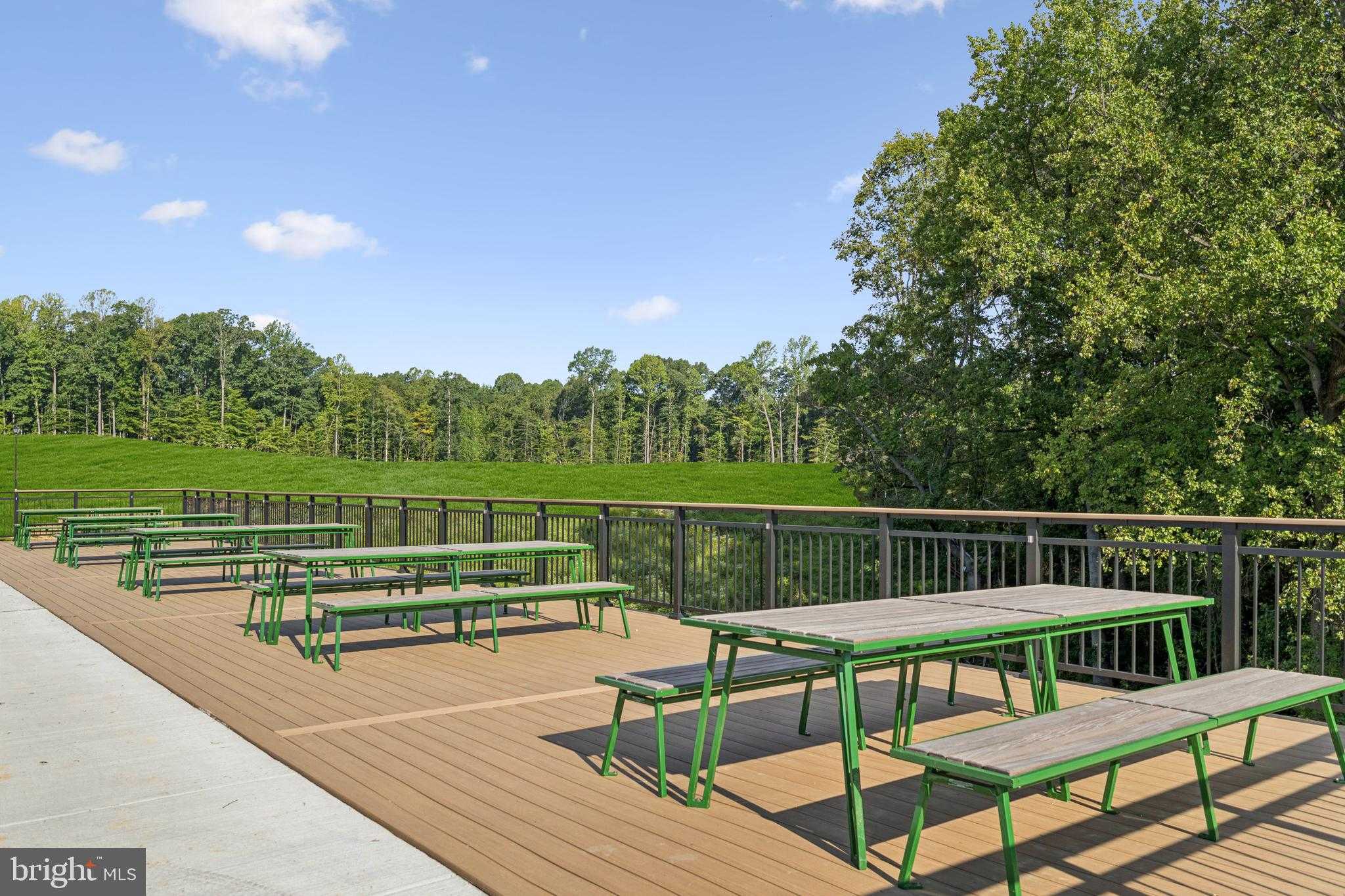 10933 Pinnacle Green Rd photo 29