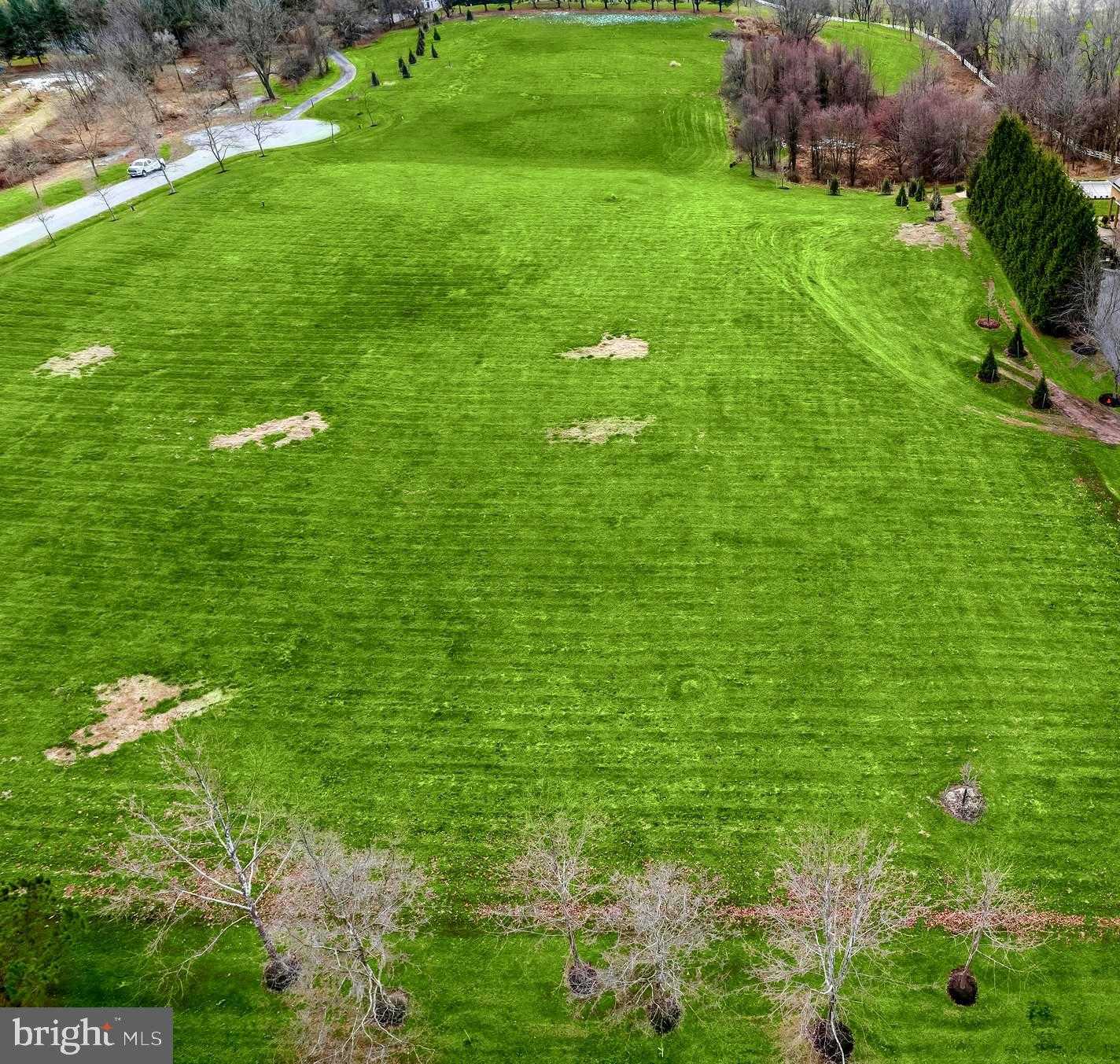 15309 Leondina Dr photo 6