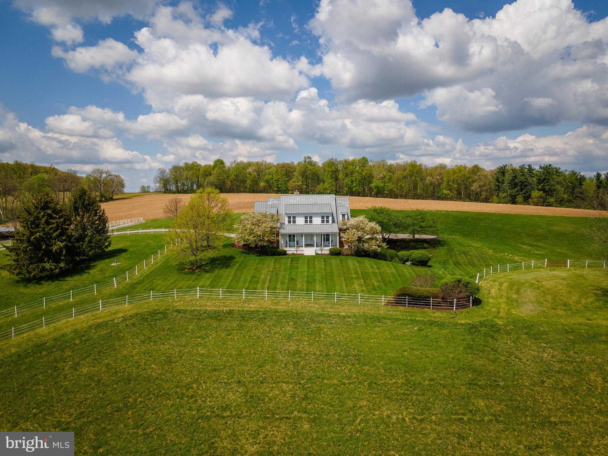 11350 White Oak Rd photo 13