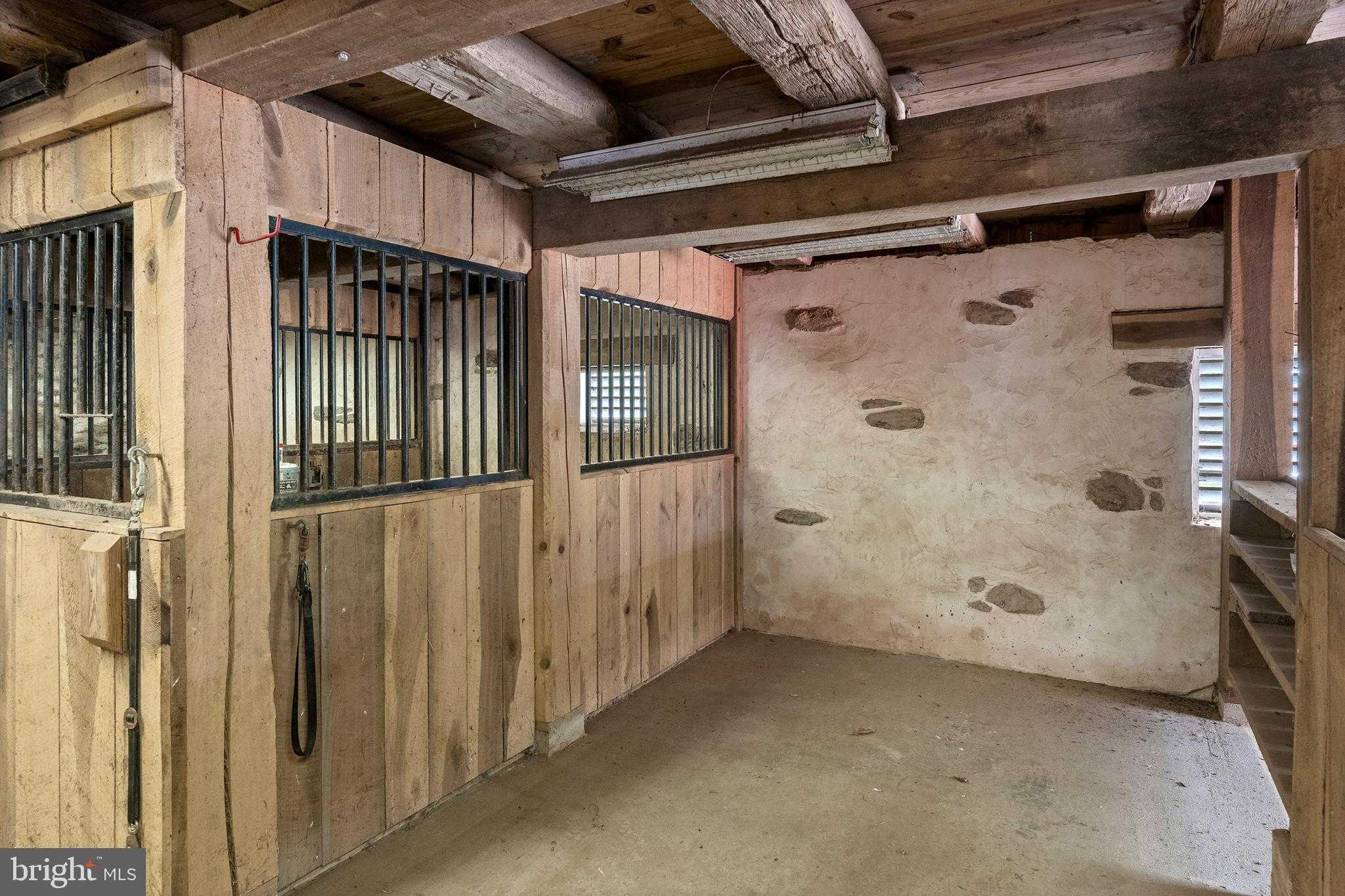 11350 White Oak Rd photo 82