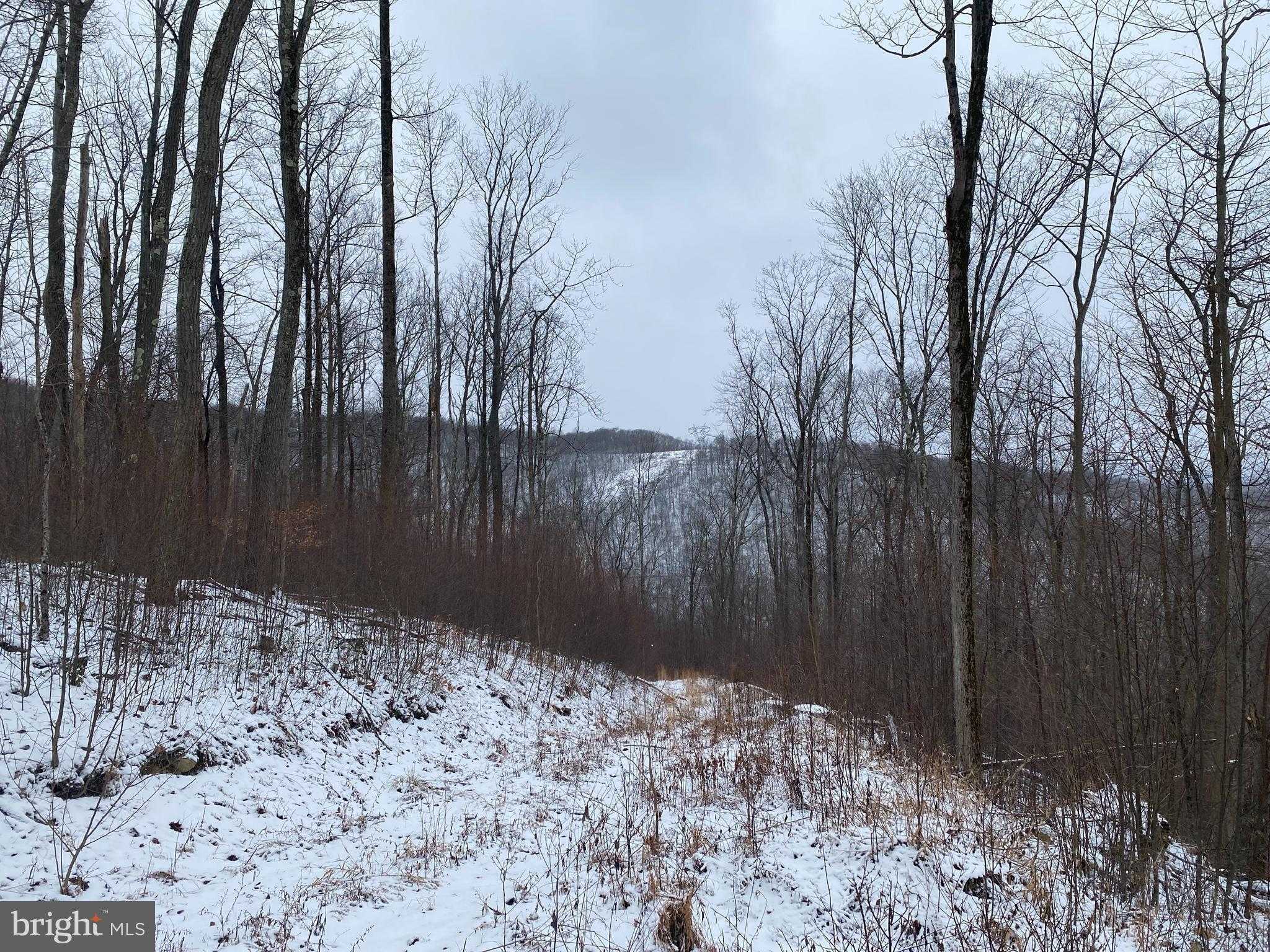 Stemple Ridge Rd photo 11