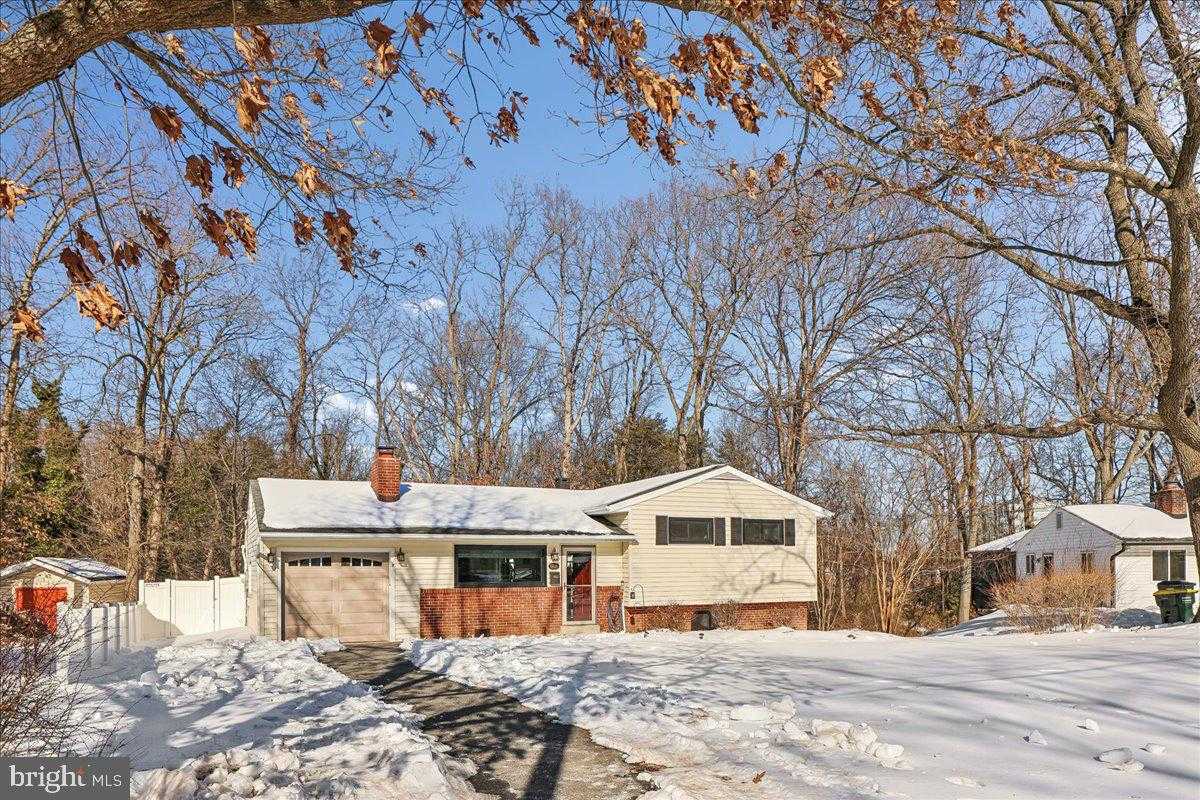 6816 Mayo CT photo 2