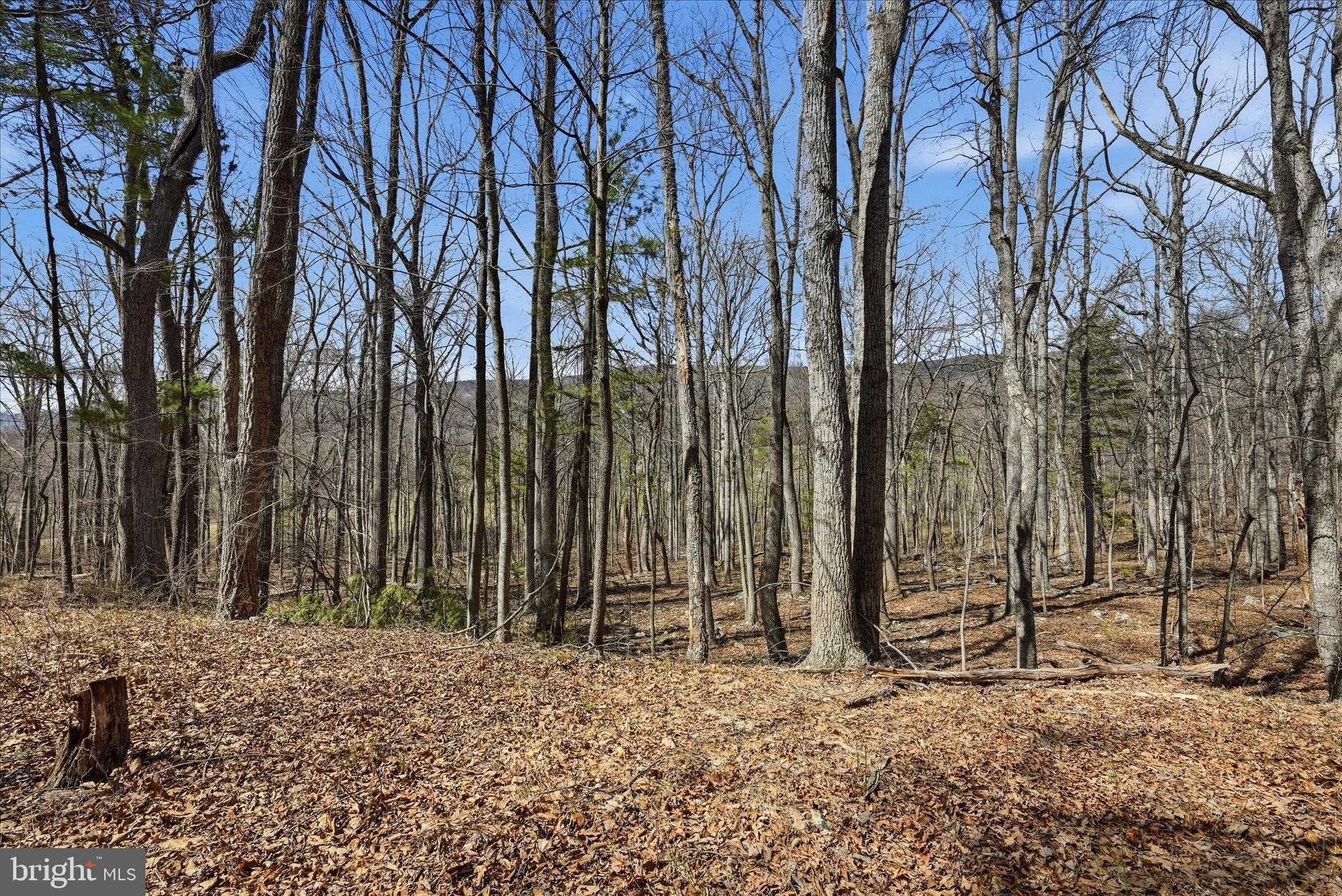 128 Charmwood Ln photo 44