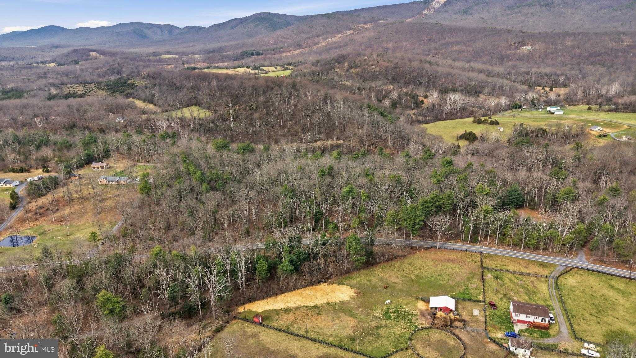 Frederick Ave photo 7