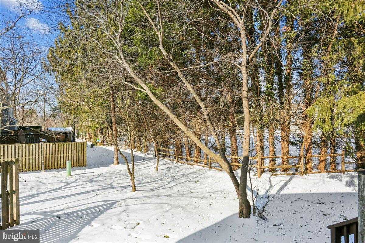 3531 Dartmoor Ln # 11 photo 37