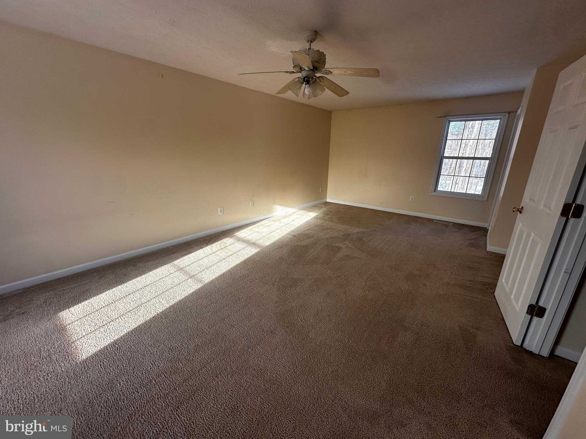 385 Longwood Dr photo 12