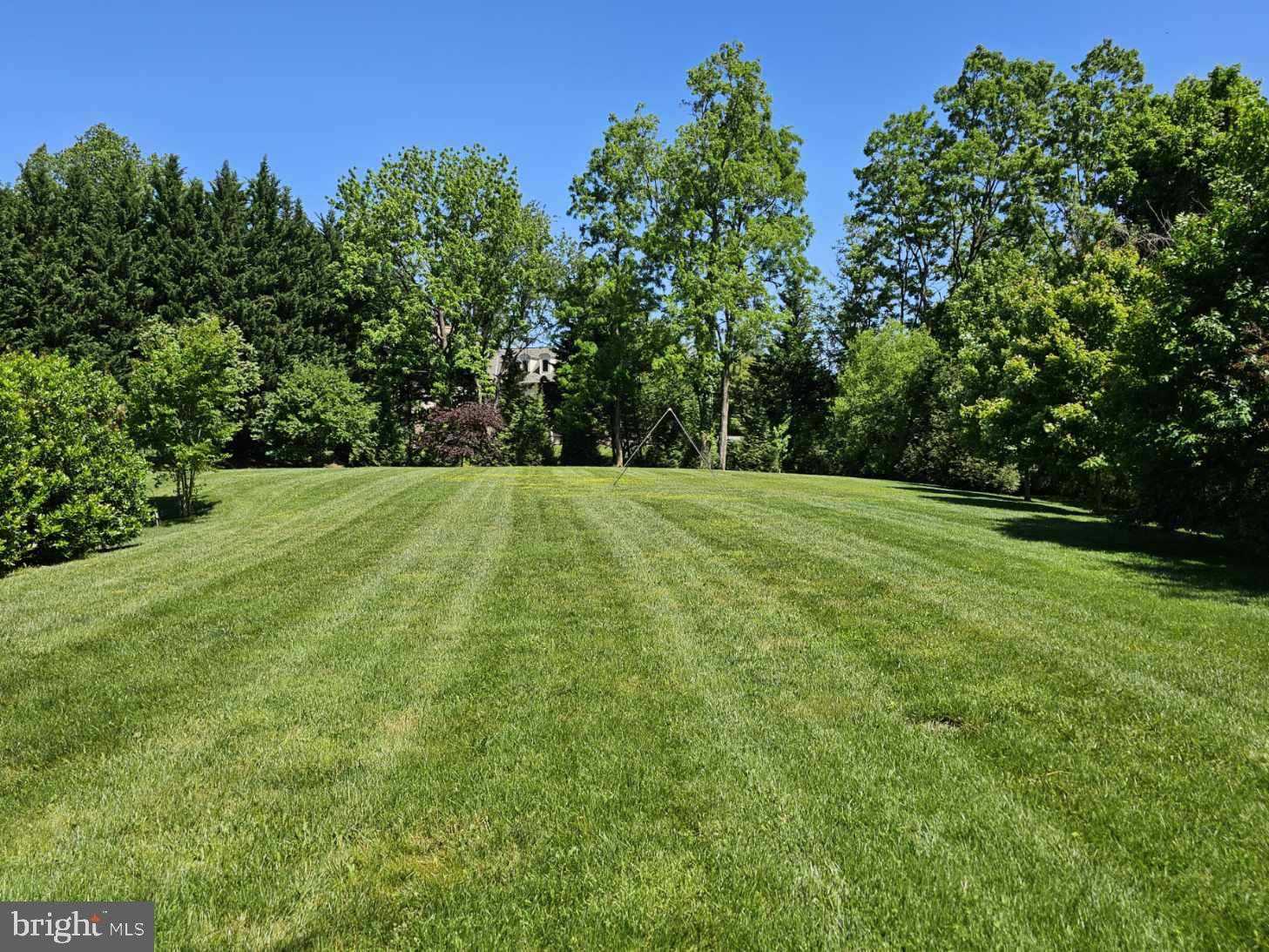 11409 Highland Farm CT photo 96