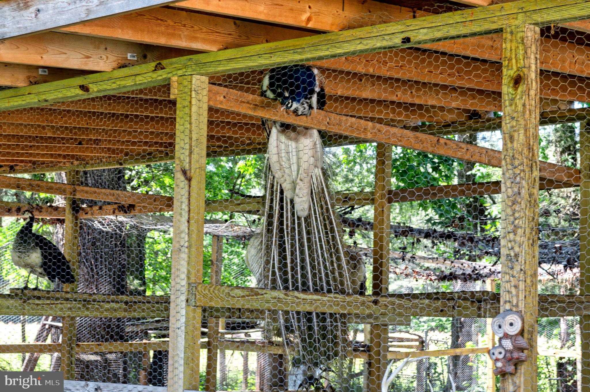 10439 Ashcake Rd photo 24