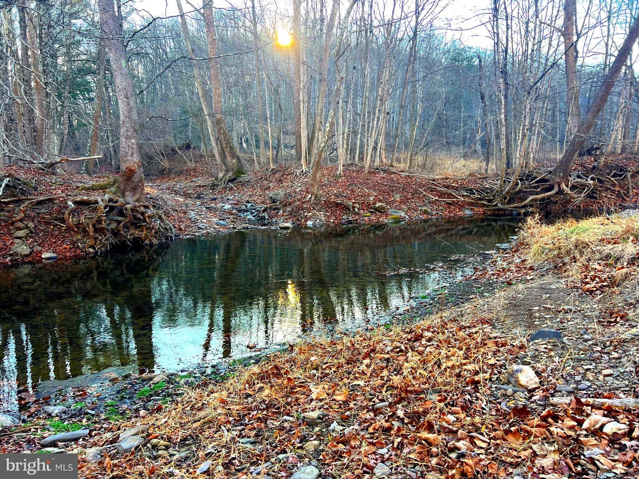 7934 N River Rd photo 8