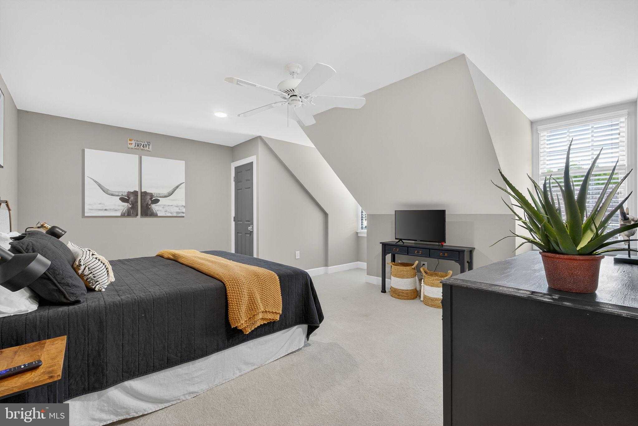 164 Highland photo 34