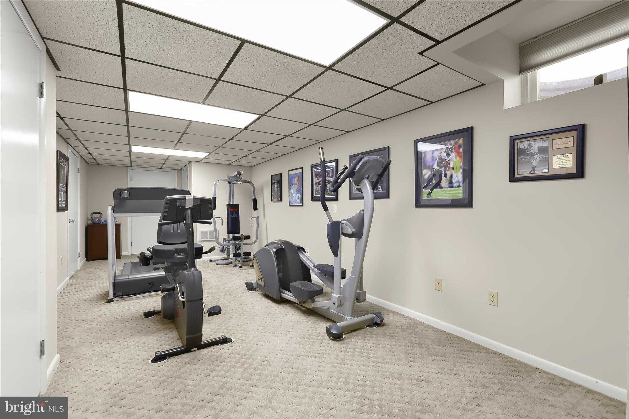 12216 Long Lake Dr photo 60