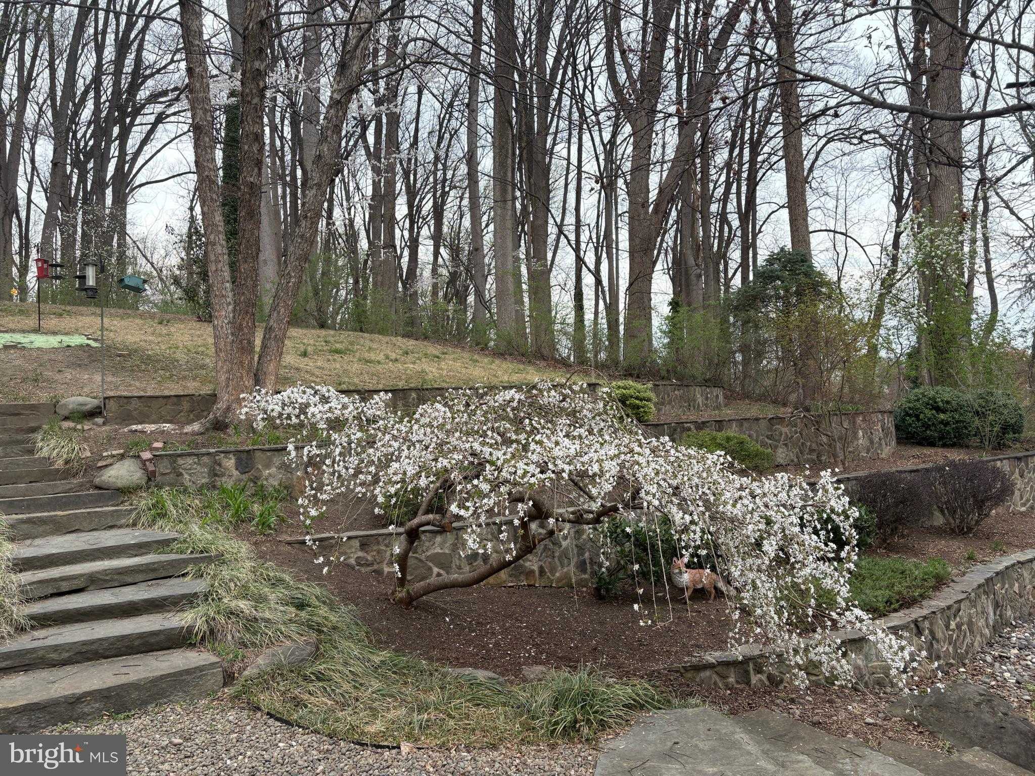 6102 Gallery St photo 49