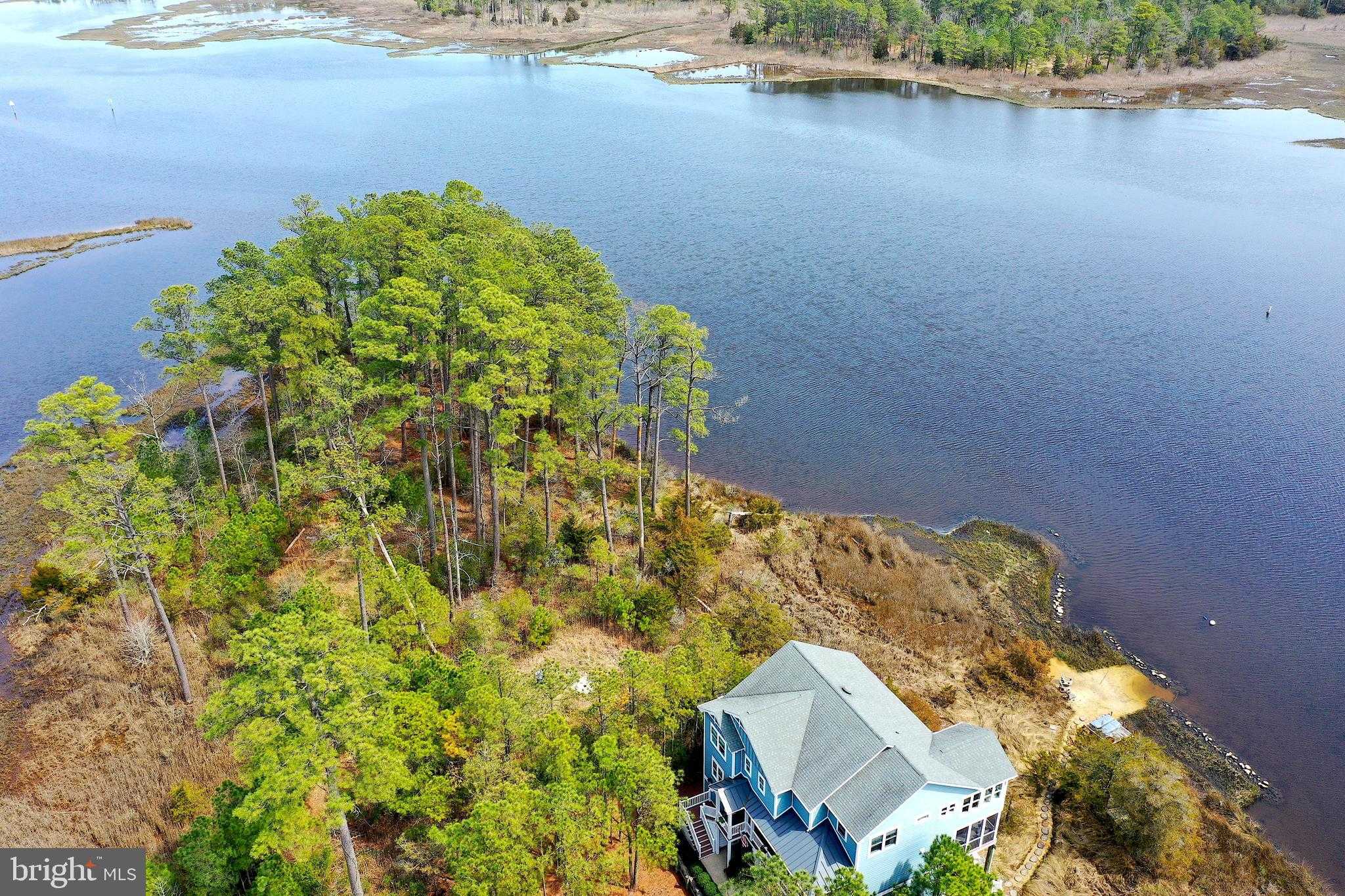 10612 Siren Ln photo 10