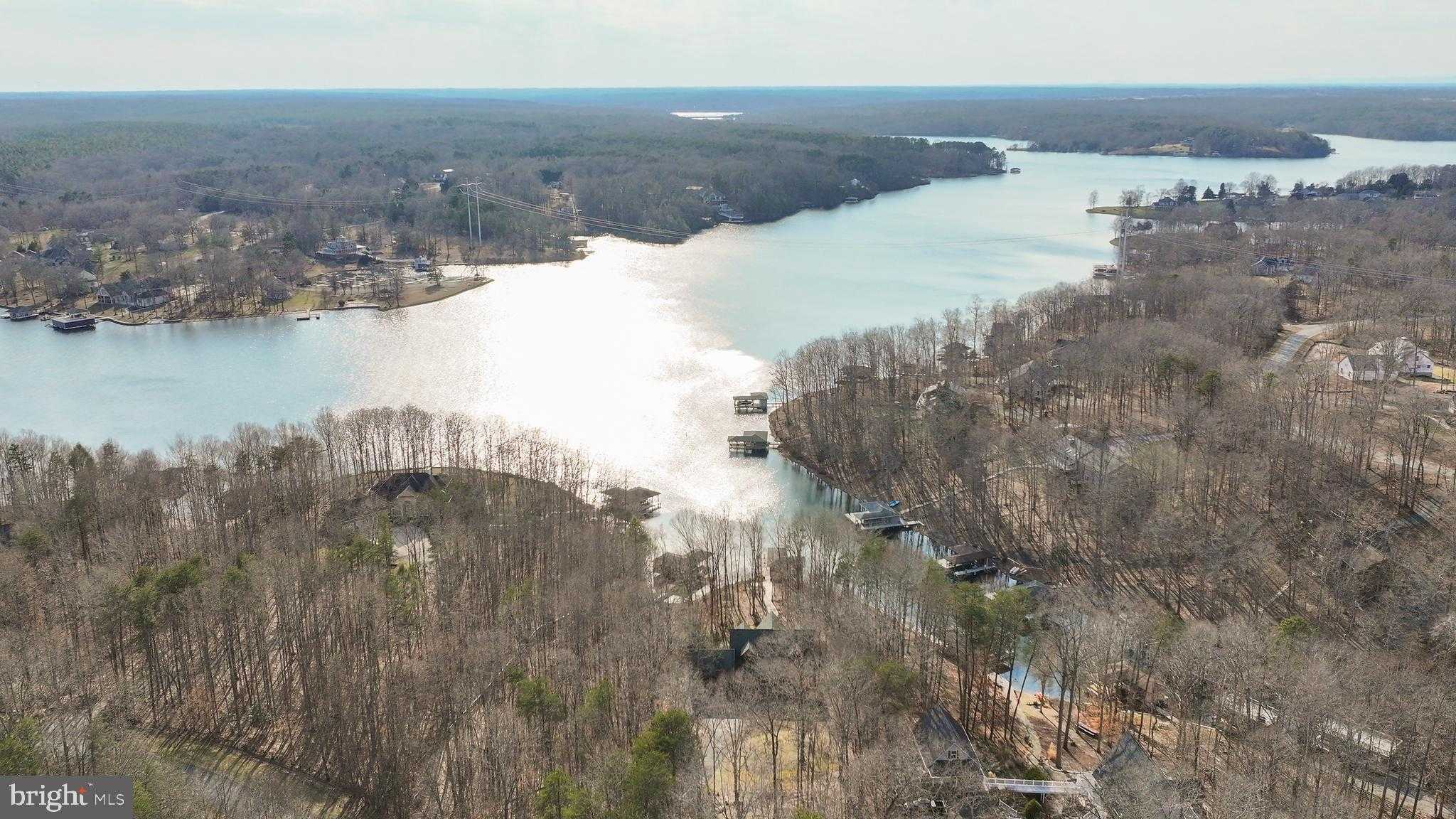 13101 Black Walnut Ln photo 3