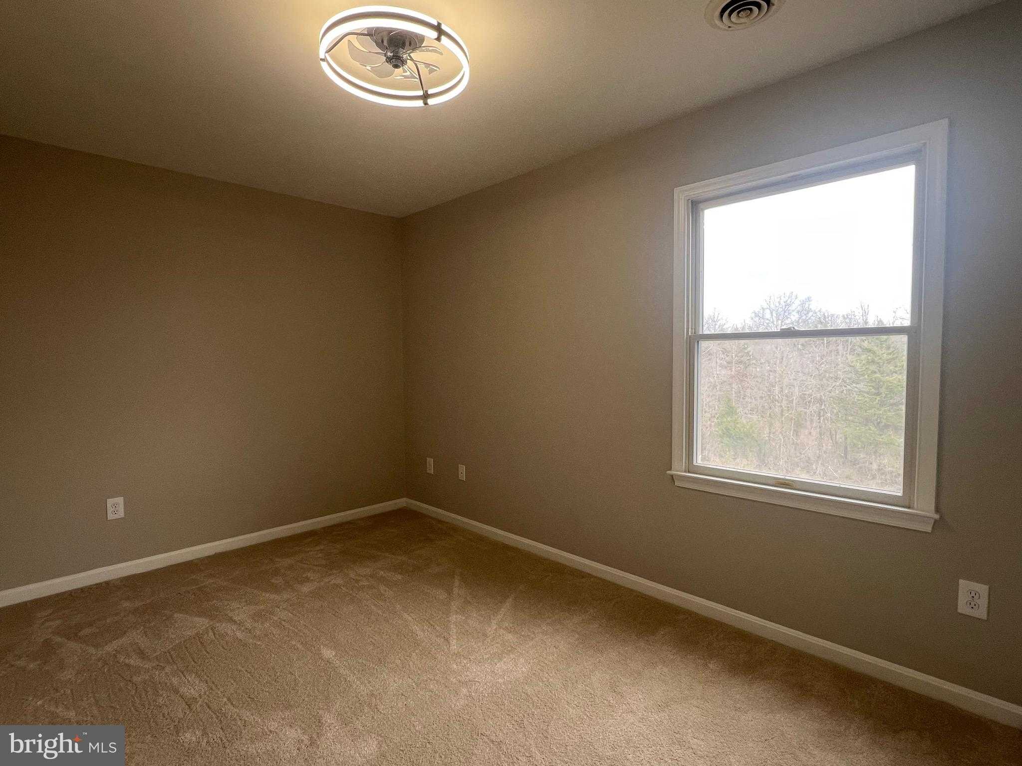 11665 Flag Rock Dr photo 34