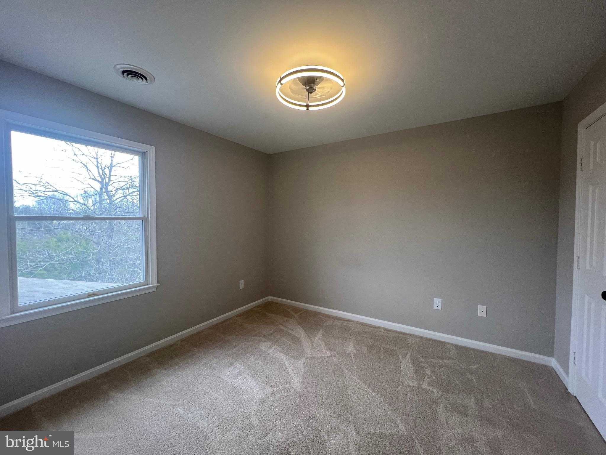 11665 Flag Rock Dr photo 37