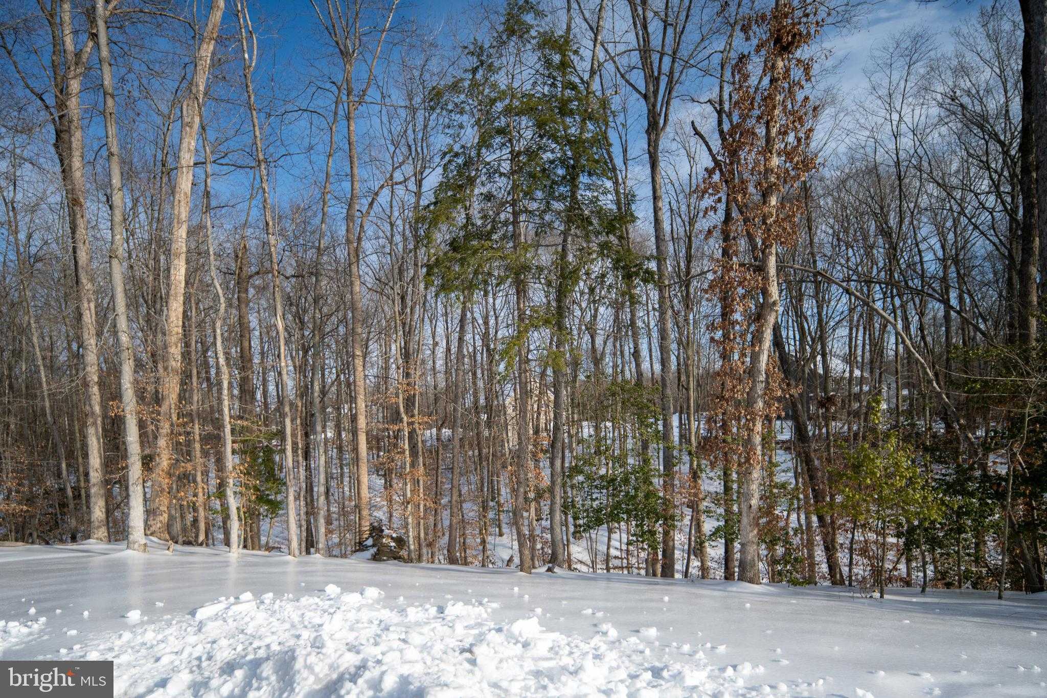 112 Lake Bluff CT photo 73