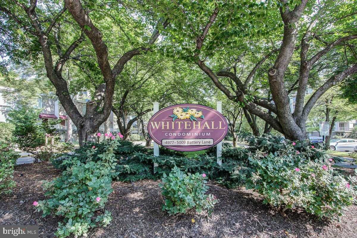 4977 Battery Ln # 1-1014 photo 34