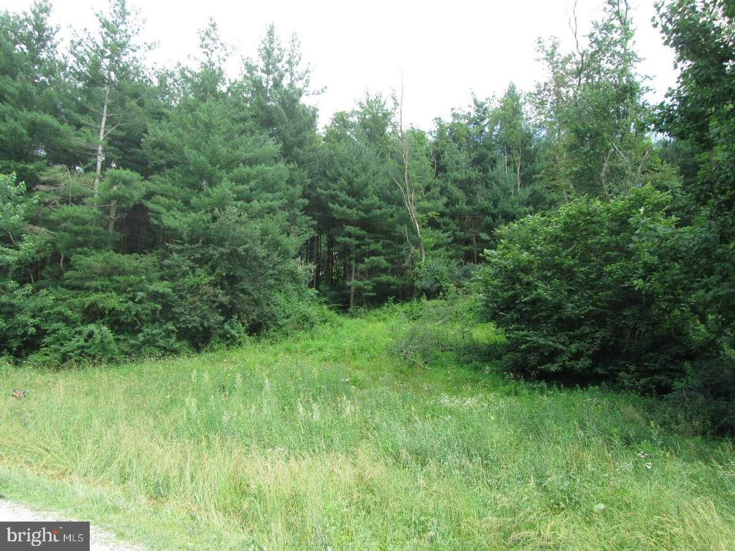 411 Pleasant Valley Rd photo 7