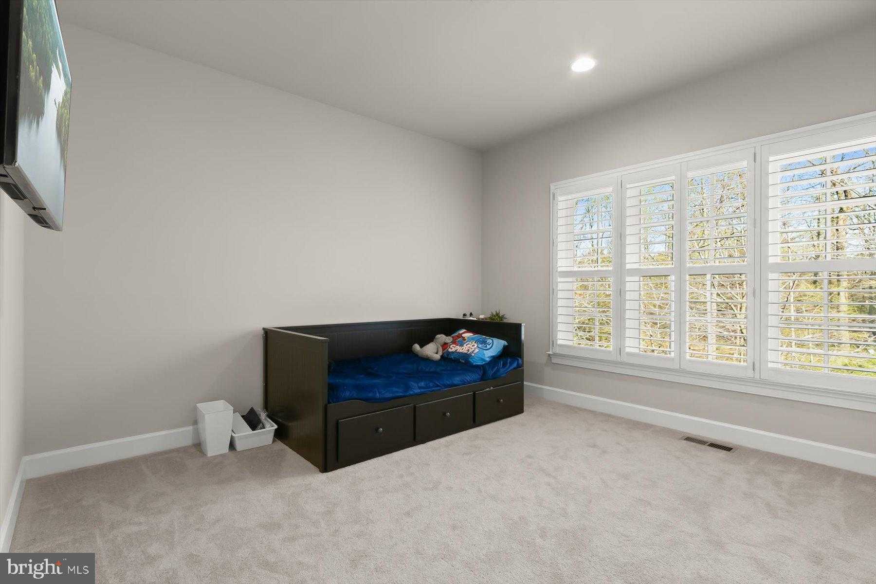 12240 Pleasant Springs CT photo 41