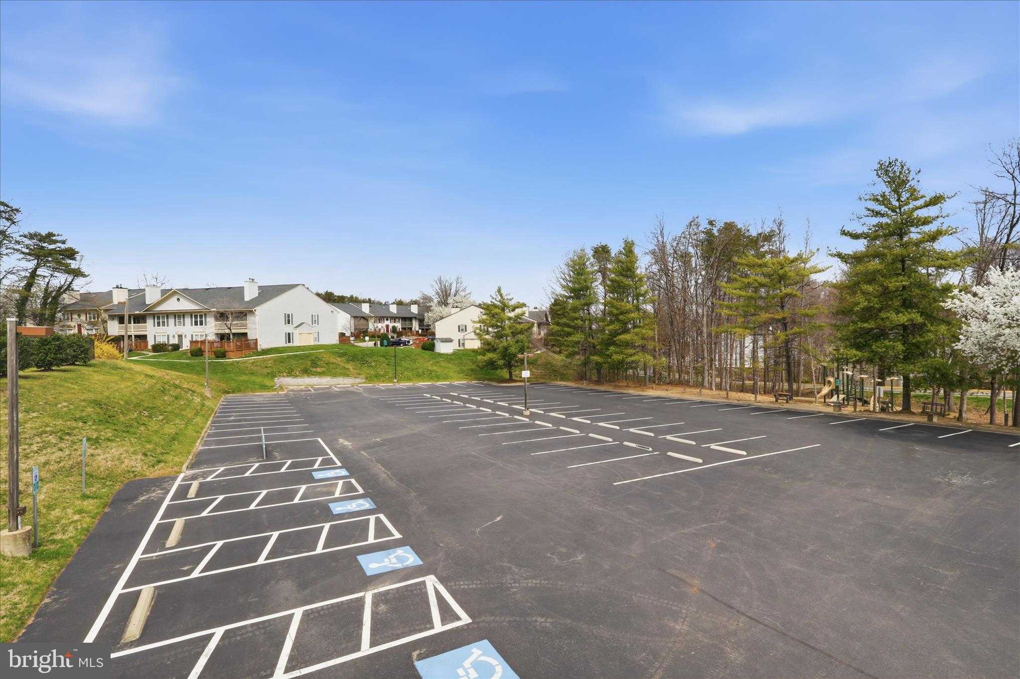 12108 Springwoods Dr photo 33