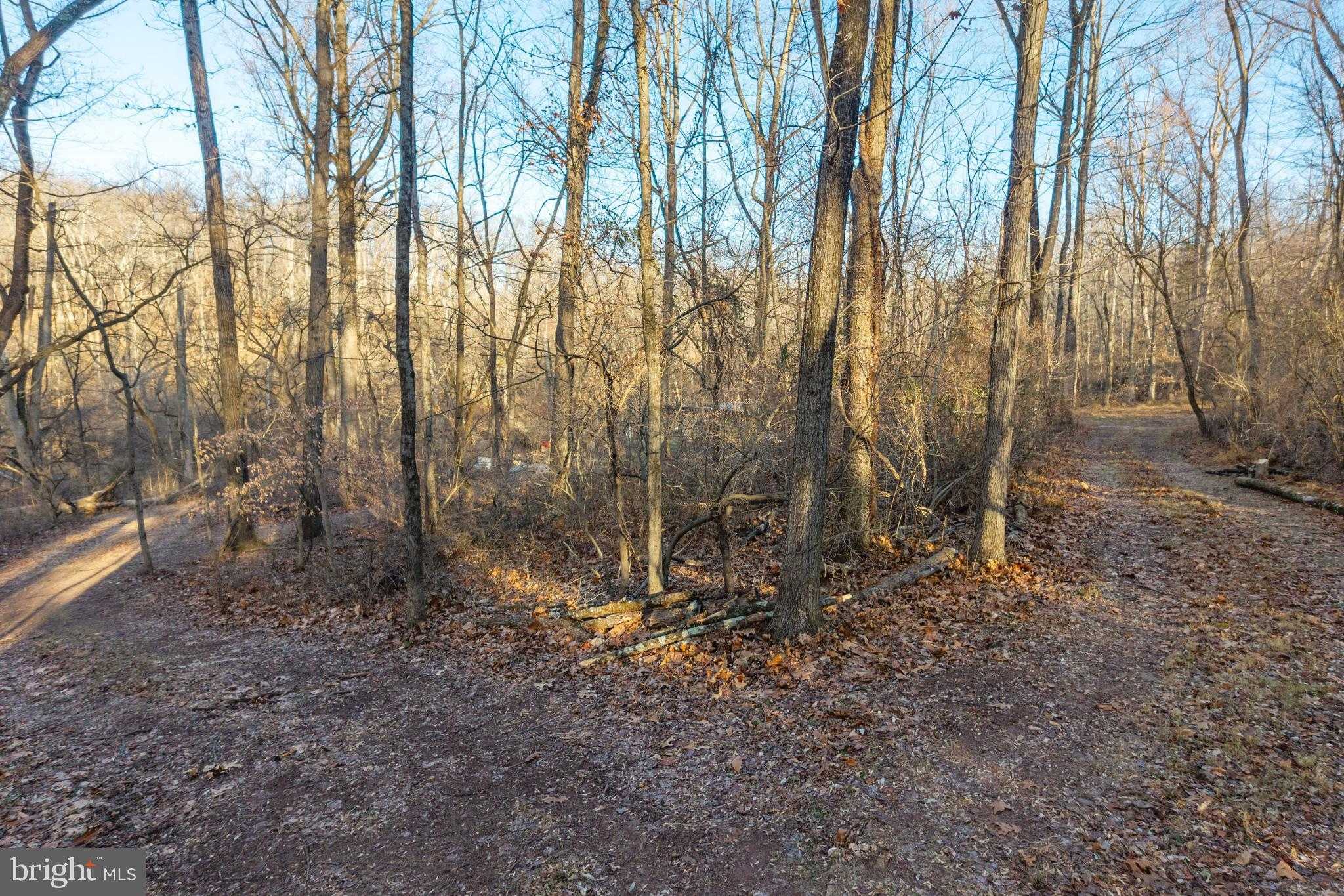 Montgomery St photo 36