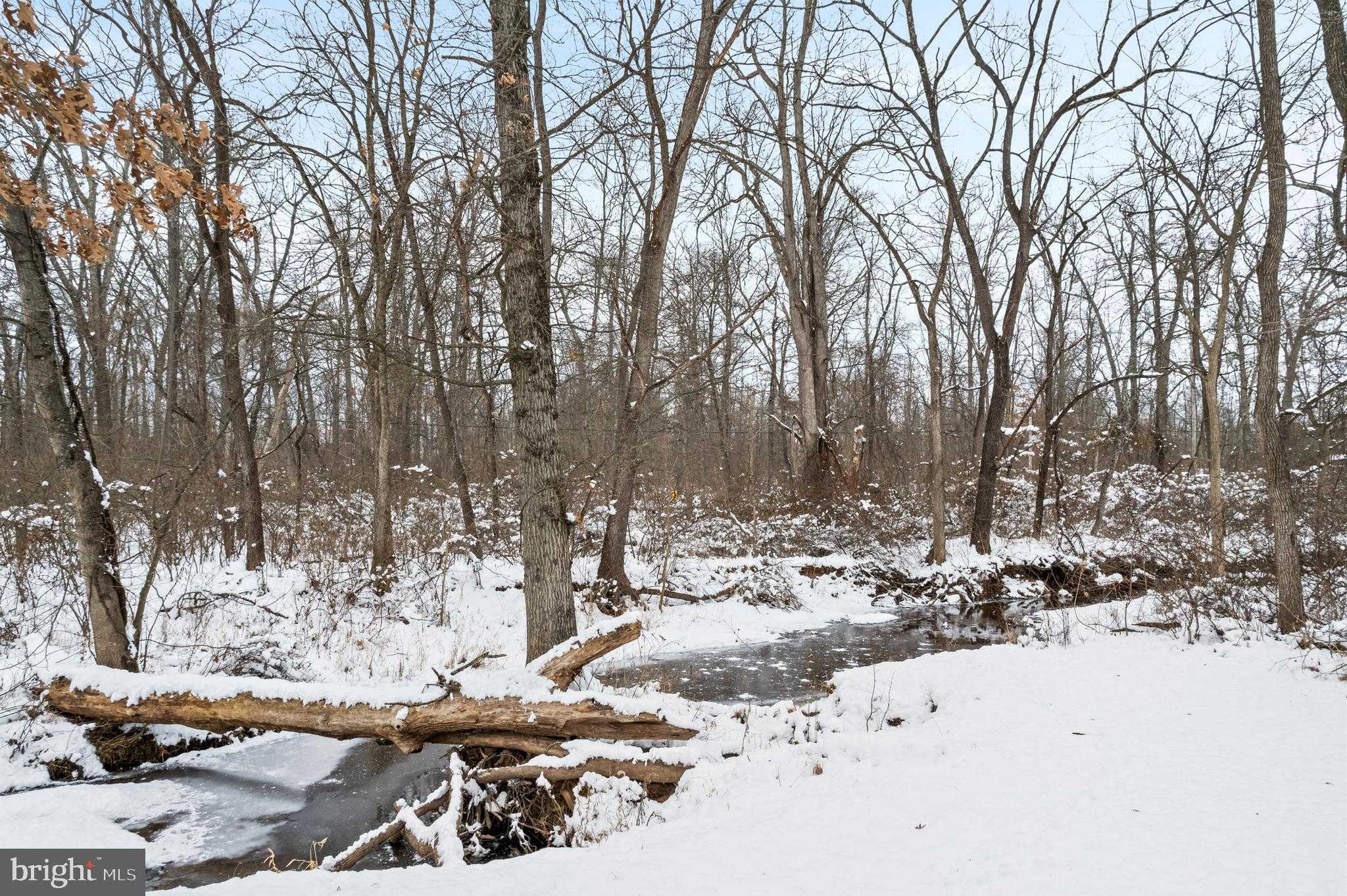 118 Middle Creek Rd photo 73