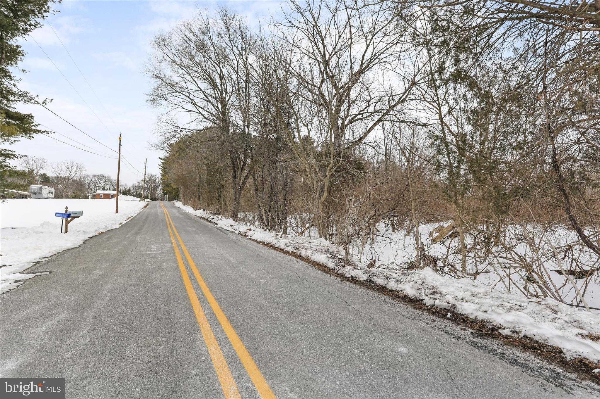 Washington Sq photo 13