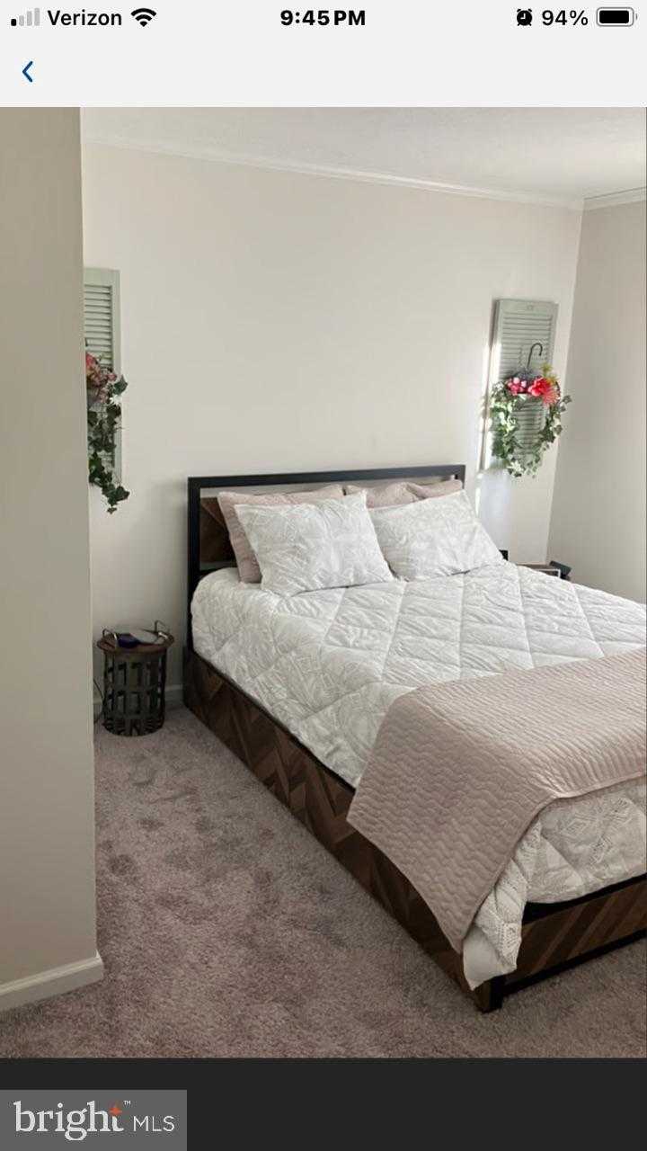 113 Mountain Village Dr photo 23