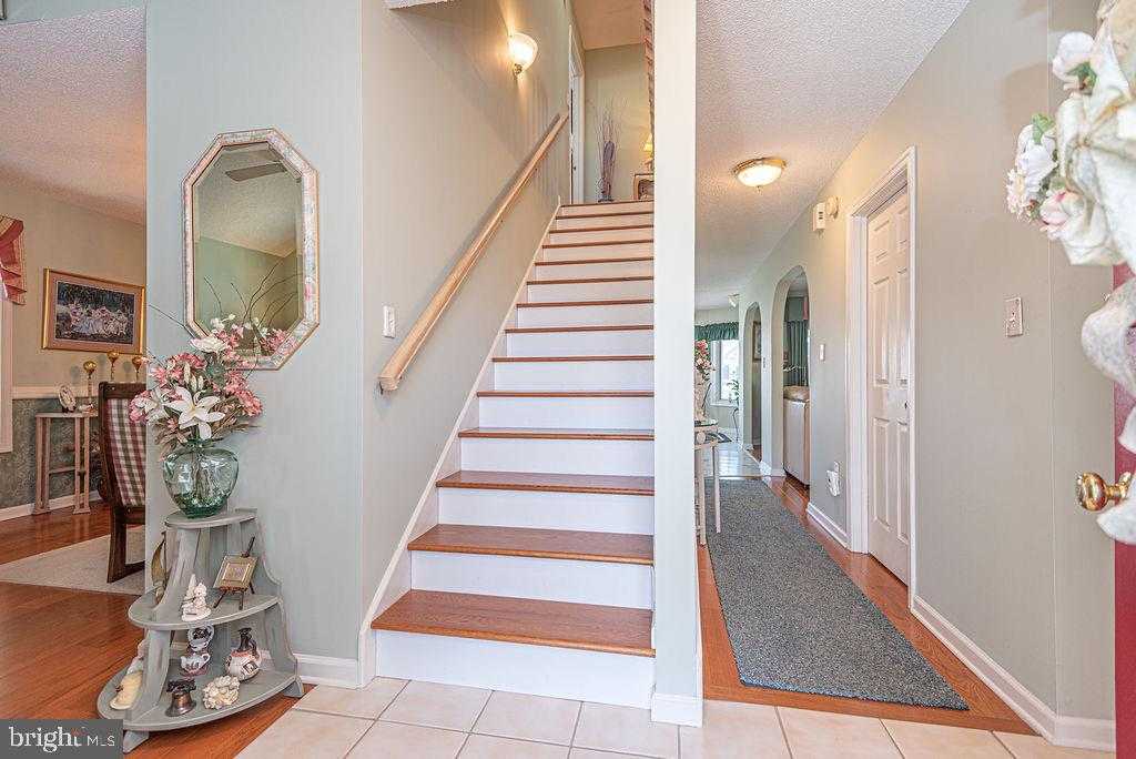 7 Leslie Mews photo 10