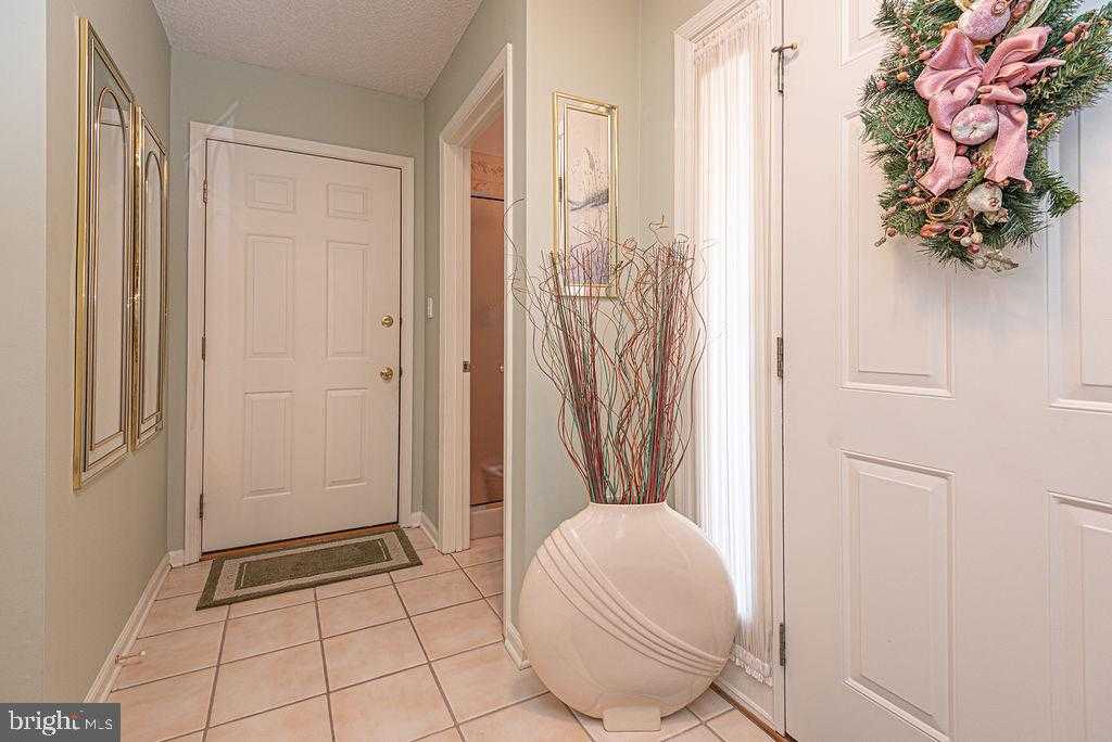 7 Leslie Mews photo 45