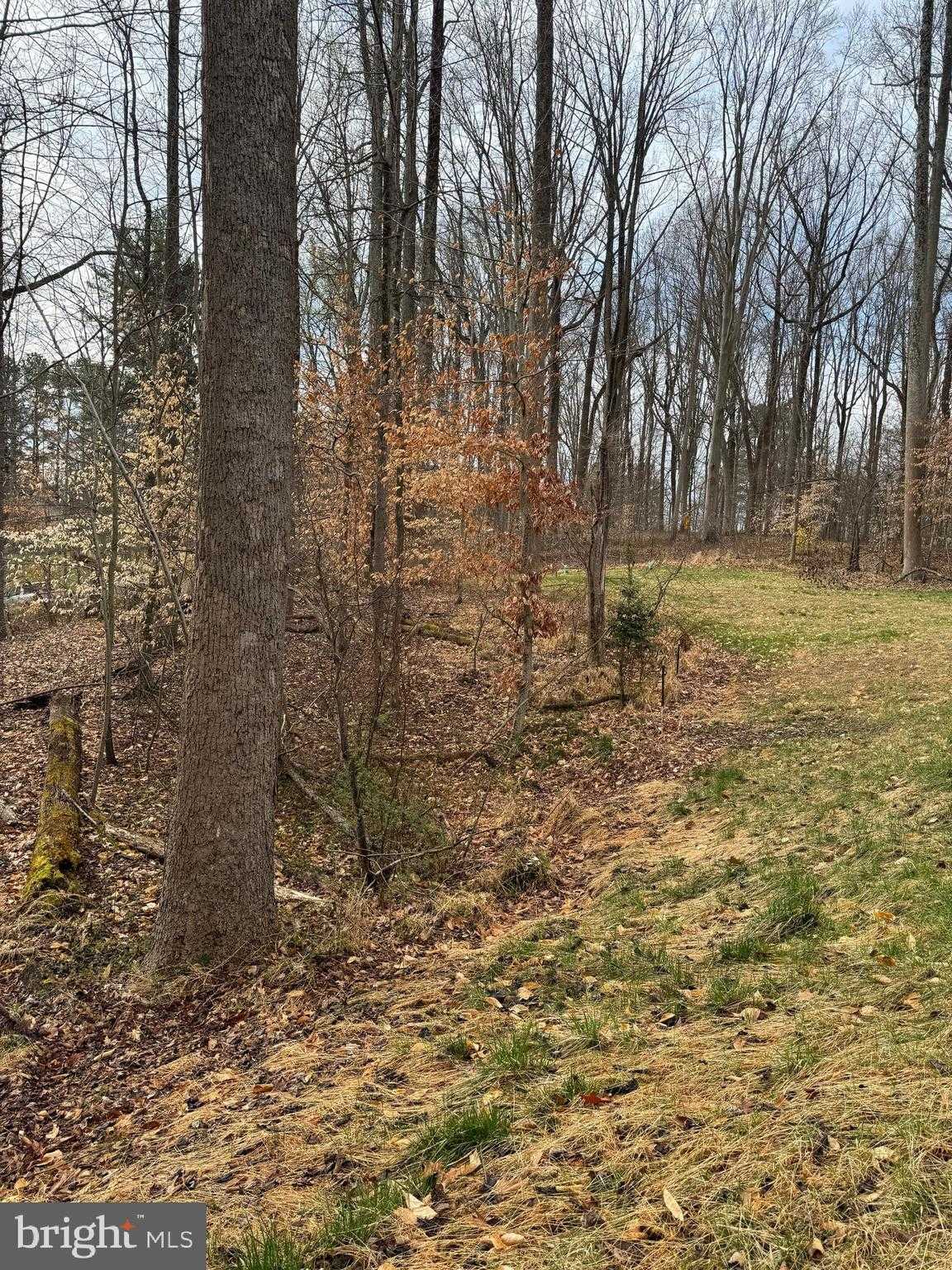 4755 S Polling House Rd photo 33