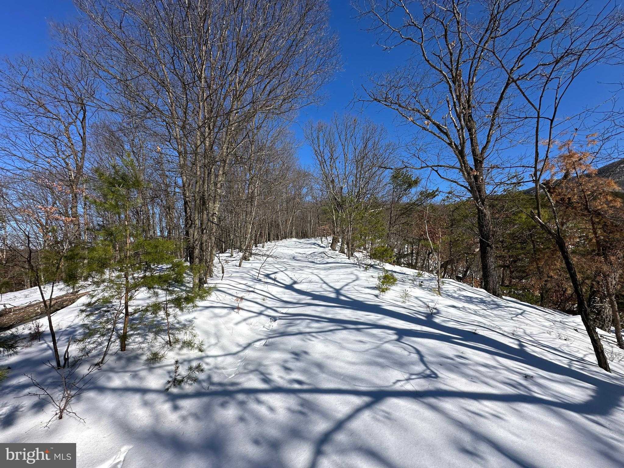 136 Ashton Woods Dr photo 28