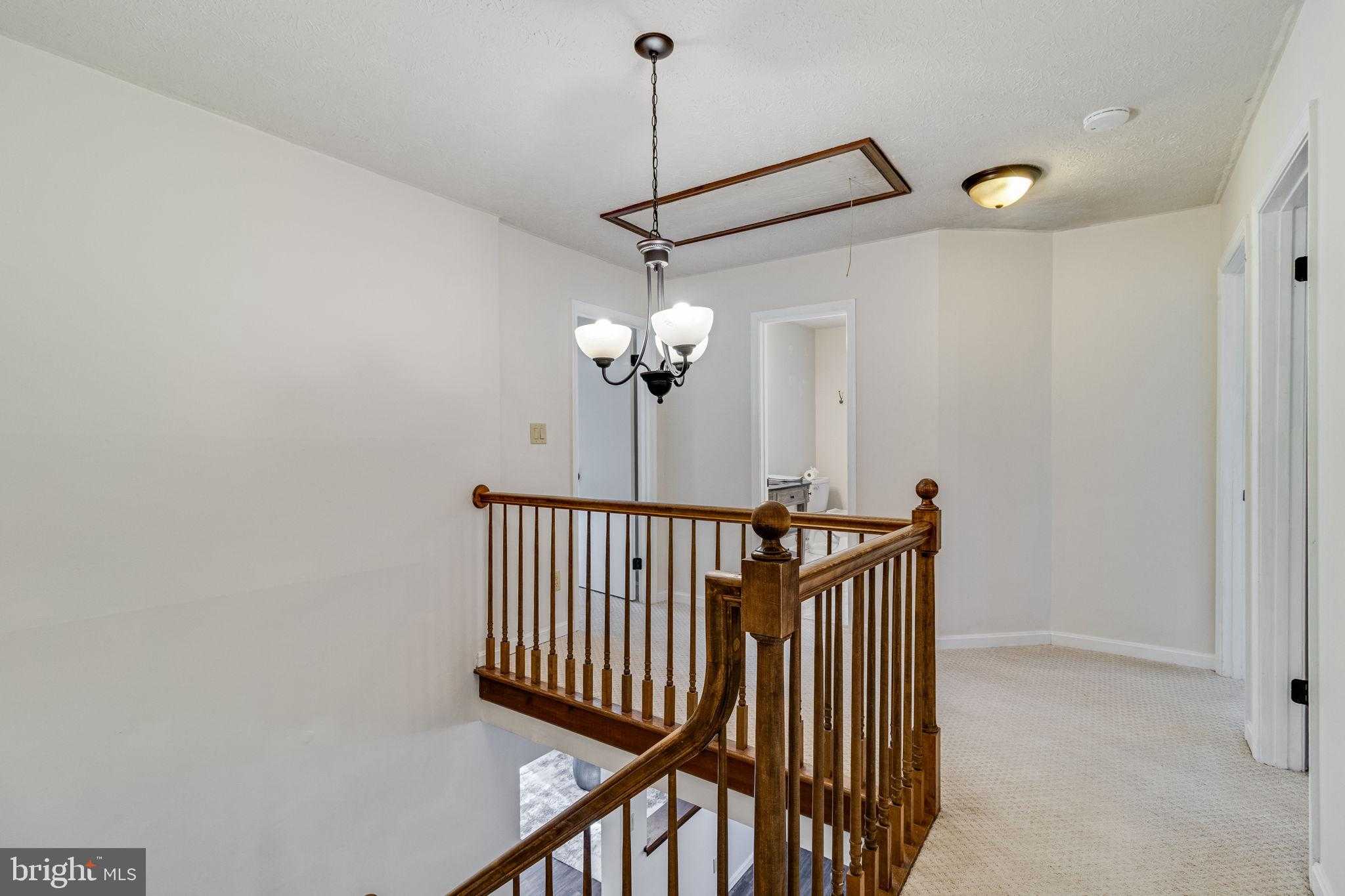 23295 White Elm CT photo 27