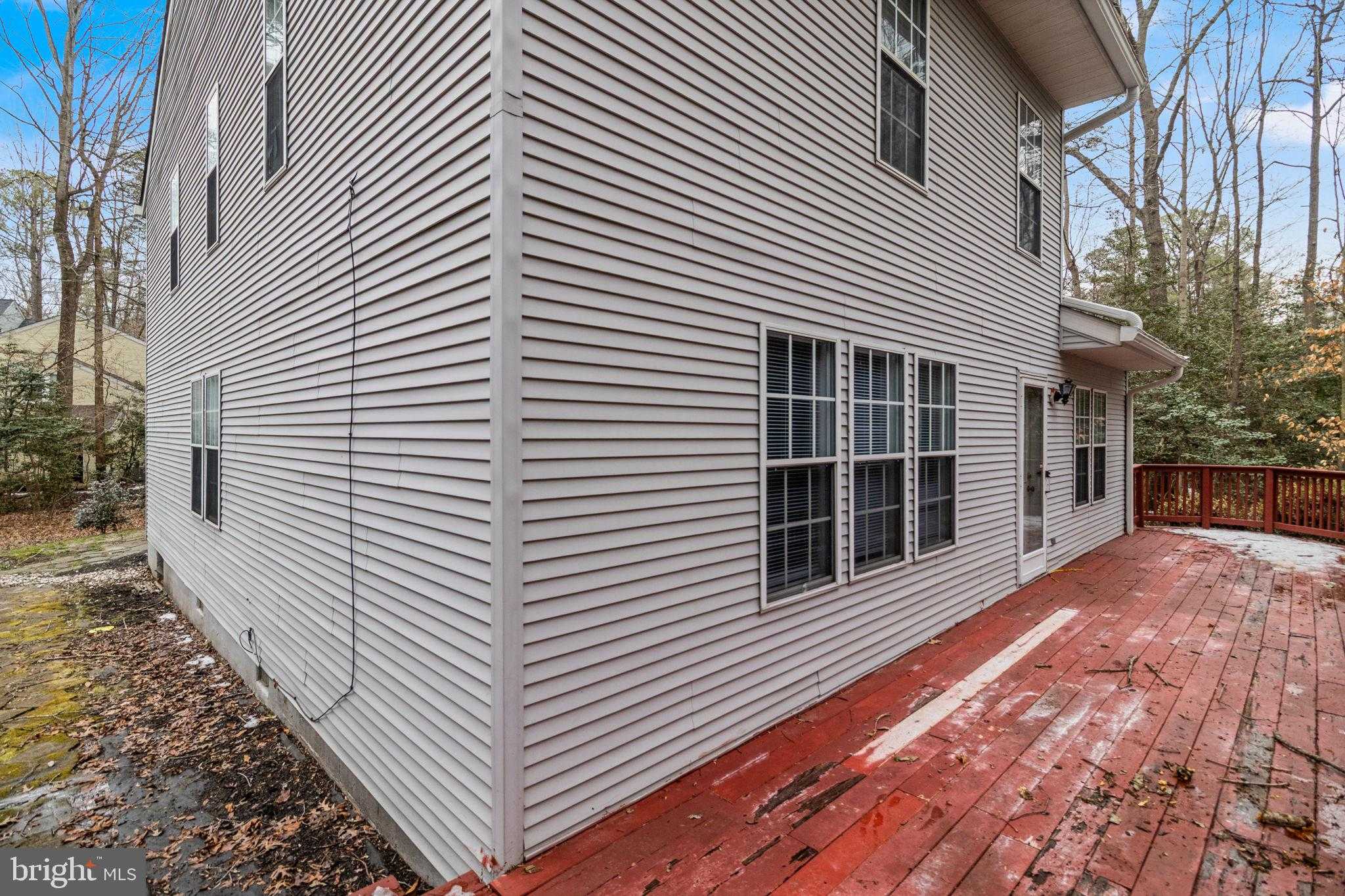 23295 White Elm CT photo 45