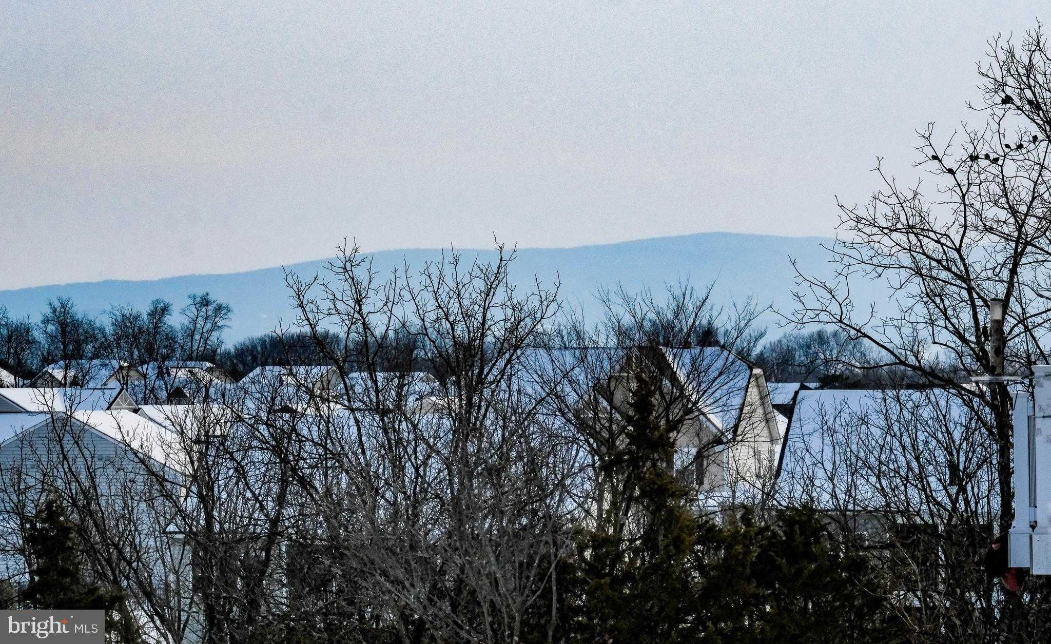 109 Bayhill Ter photo 56