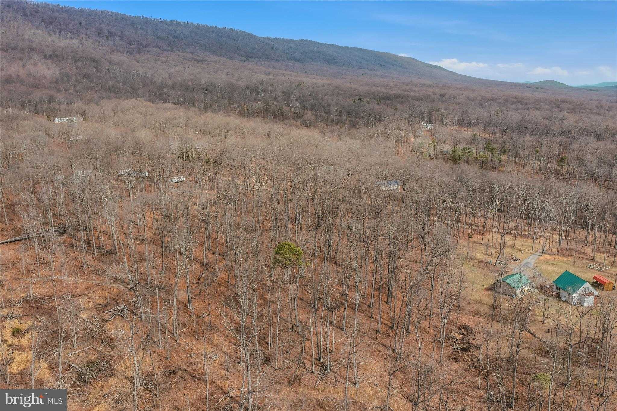 Pauls Woods Rd photo 13