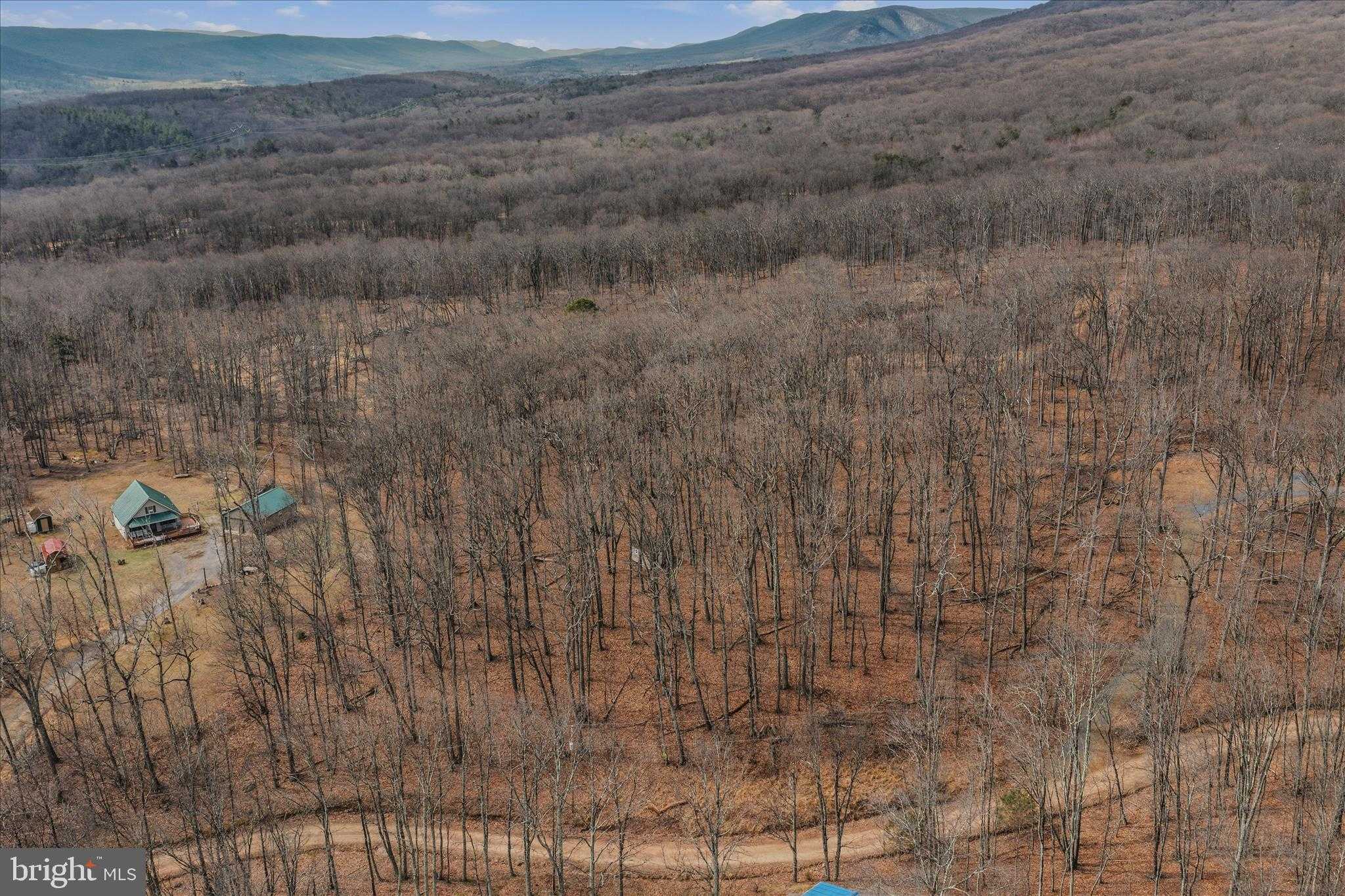 Pauls Woods Rd photo 8