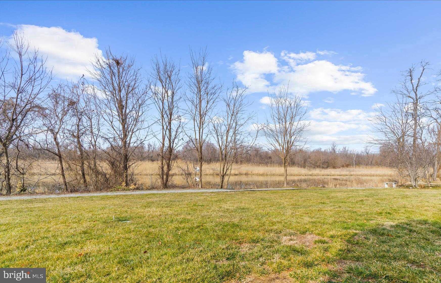 1305 Marion Quimby Dr photo 39