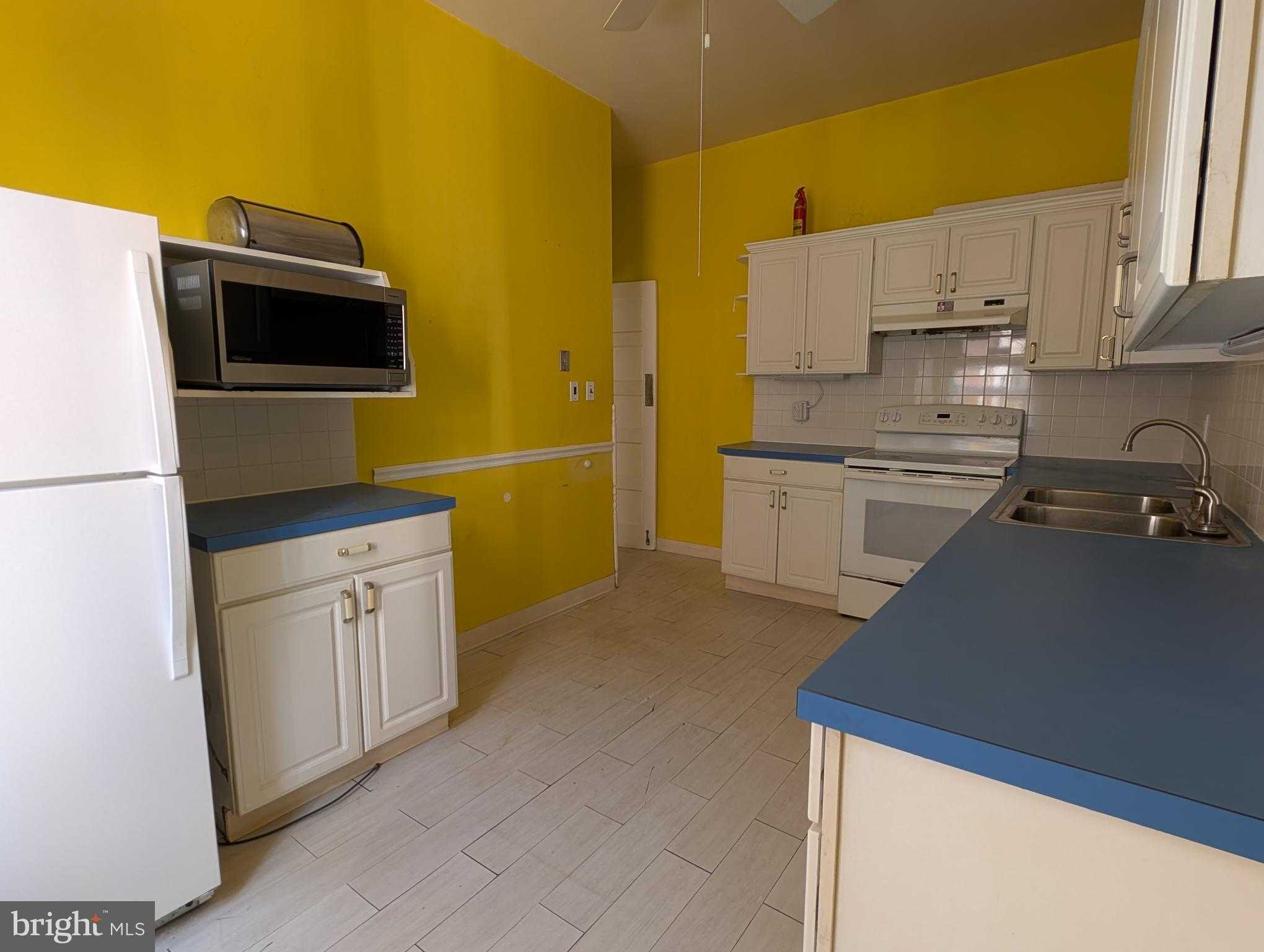 229 E Mount Pleasant Ave photo 10