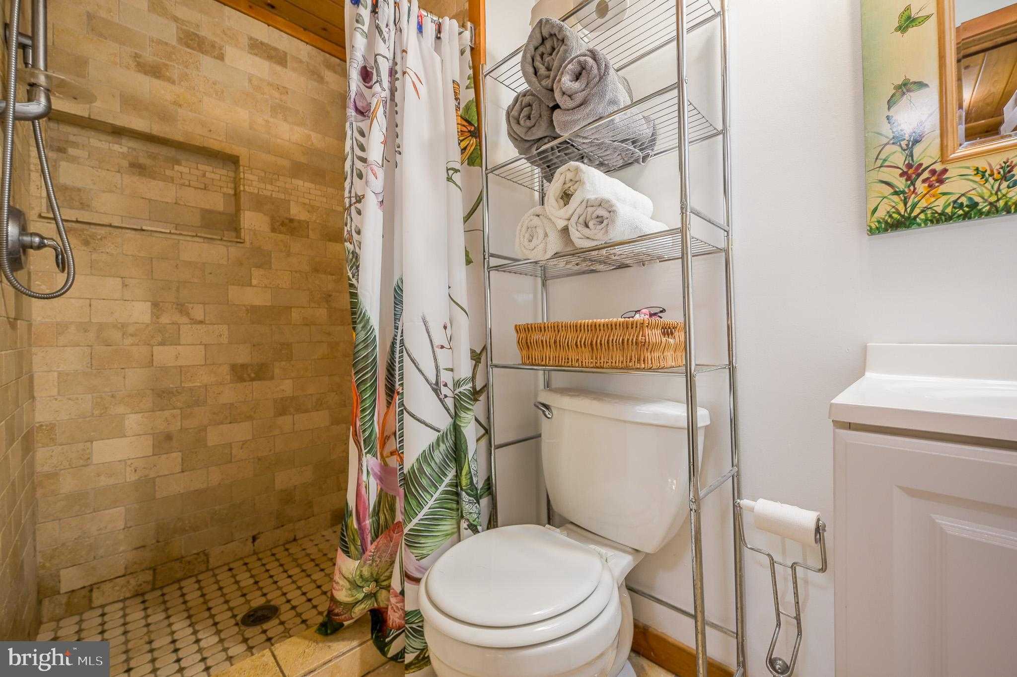 12612 Izaak Walton Dr photo 39