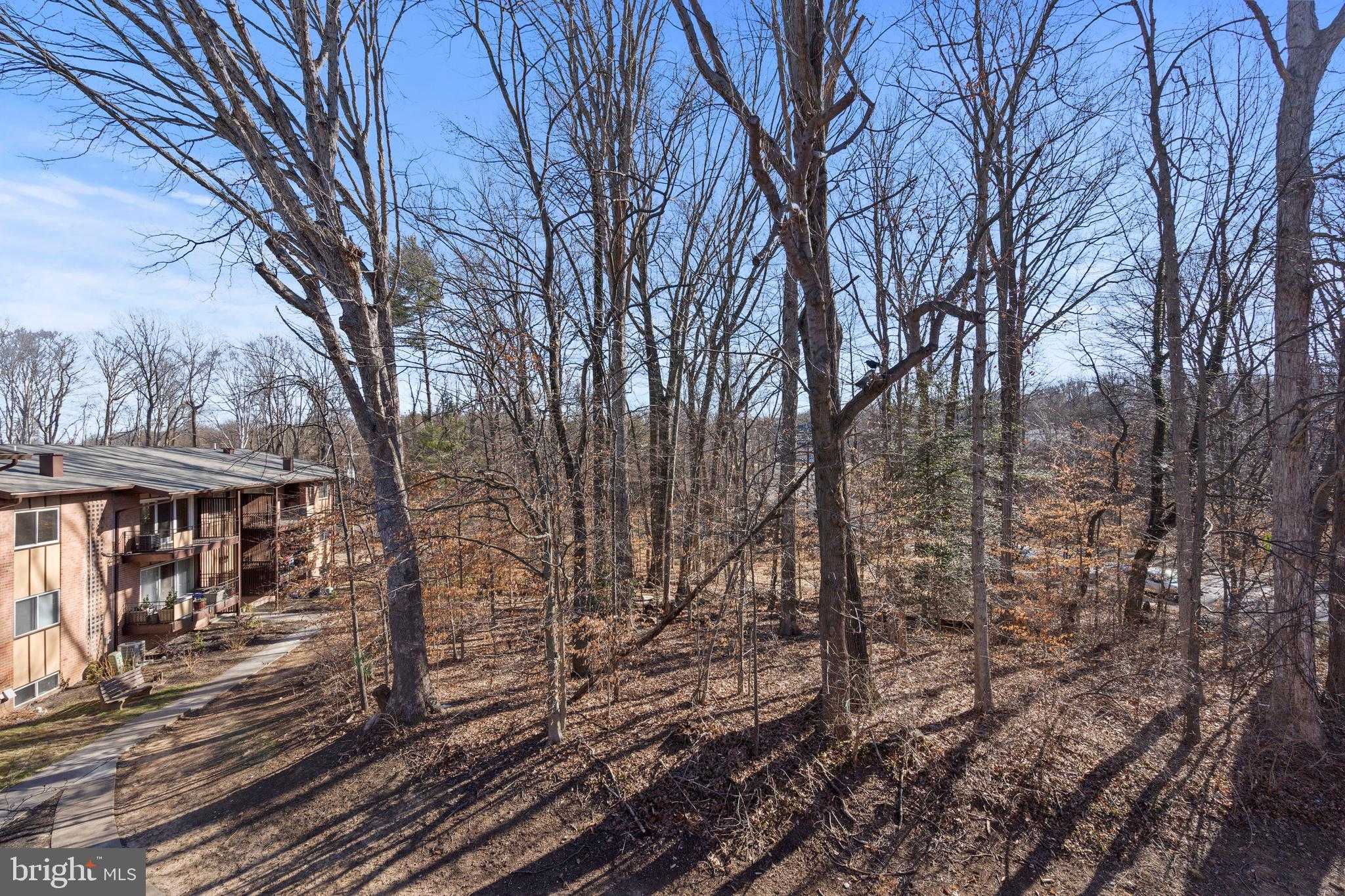 10171 Fair Woods Dr Apt 301 photo 15