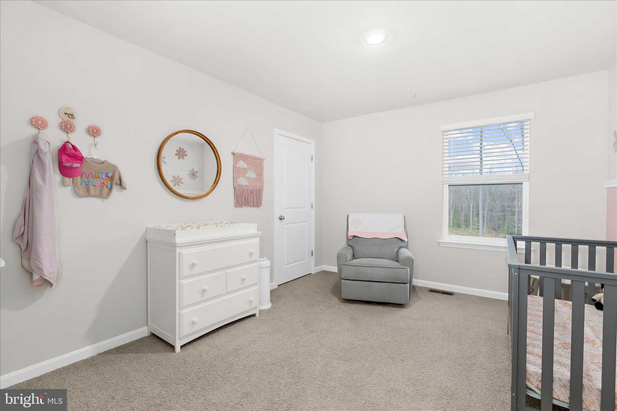 158 Folklore Way photo 32