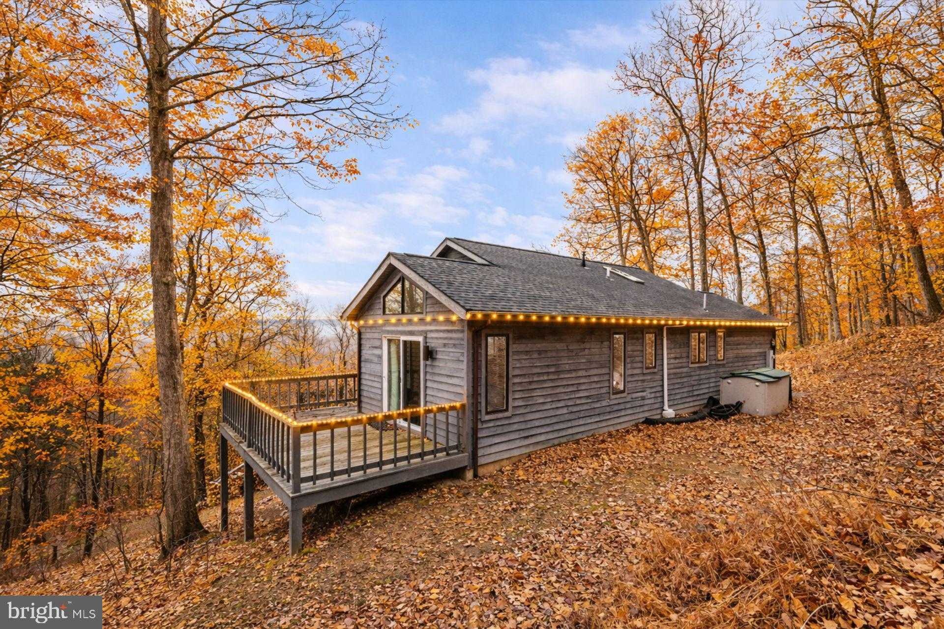 579 Bobcat Dr photo 26