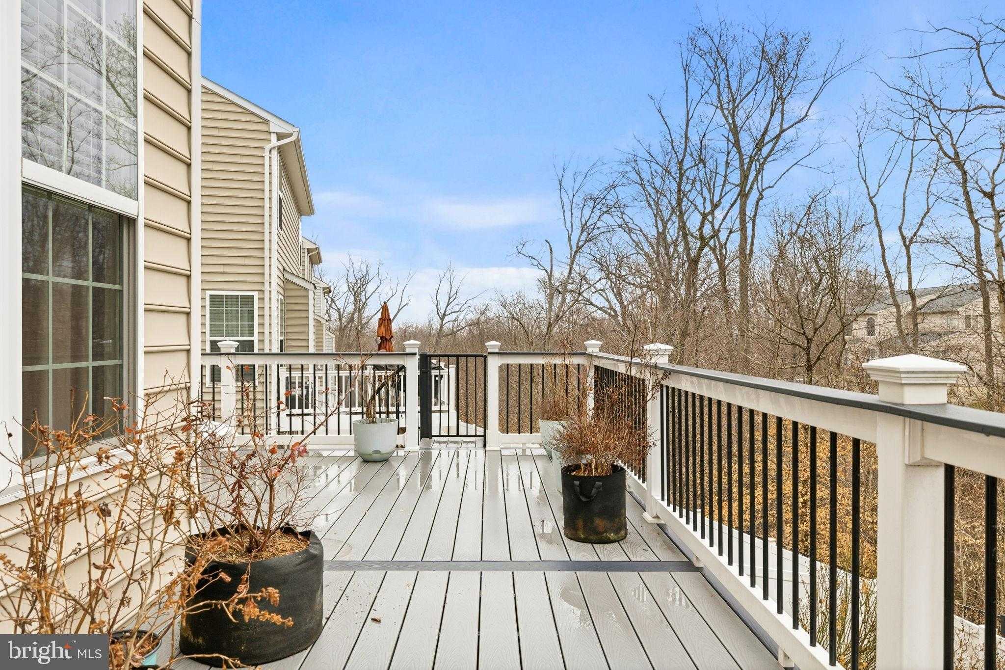 16067 Standing Eagle CT photo 47