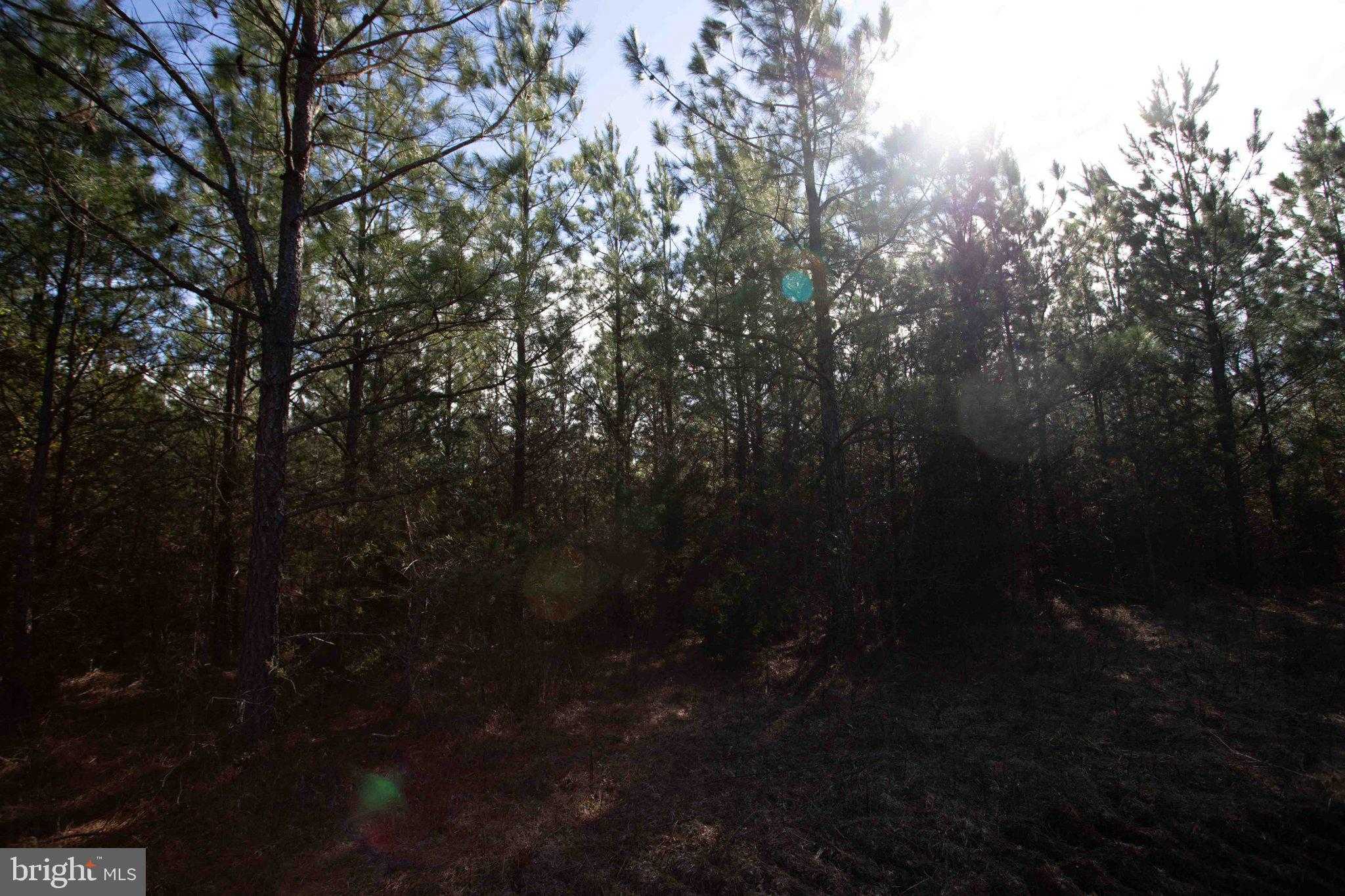 W Gretna Rd photo 17