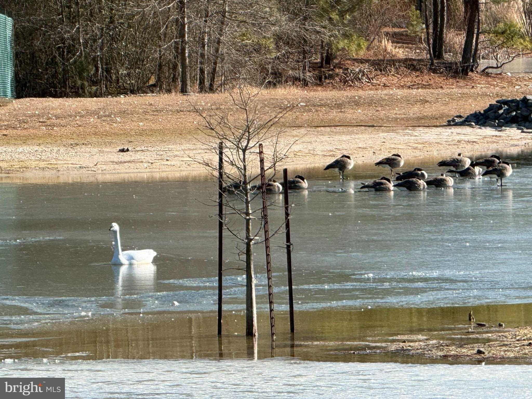 26595 Blue Jay Ln photo 42