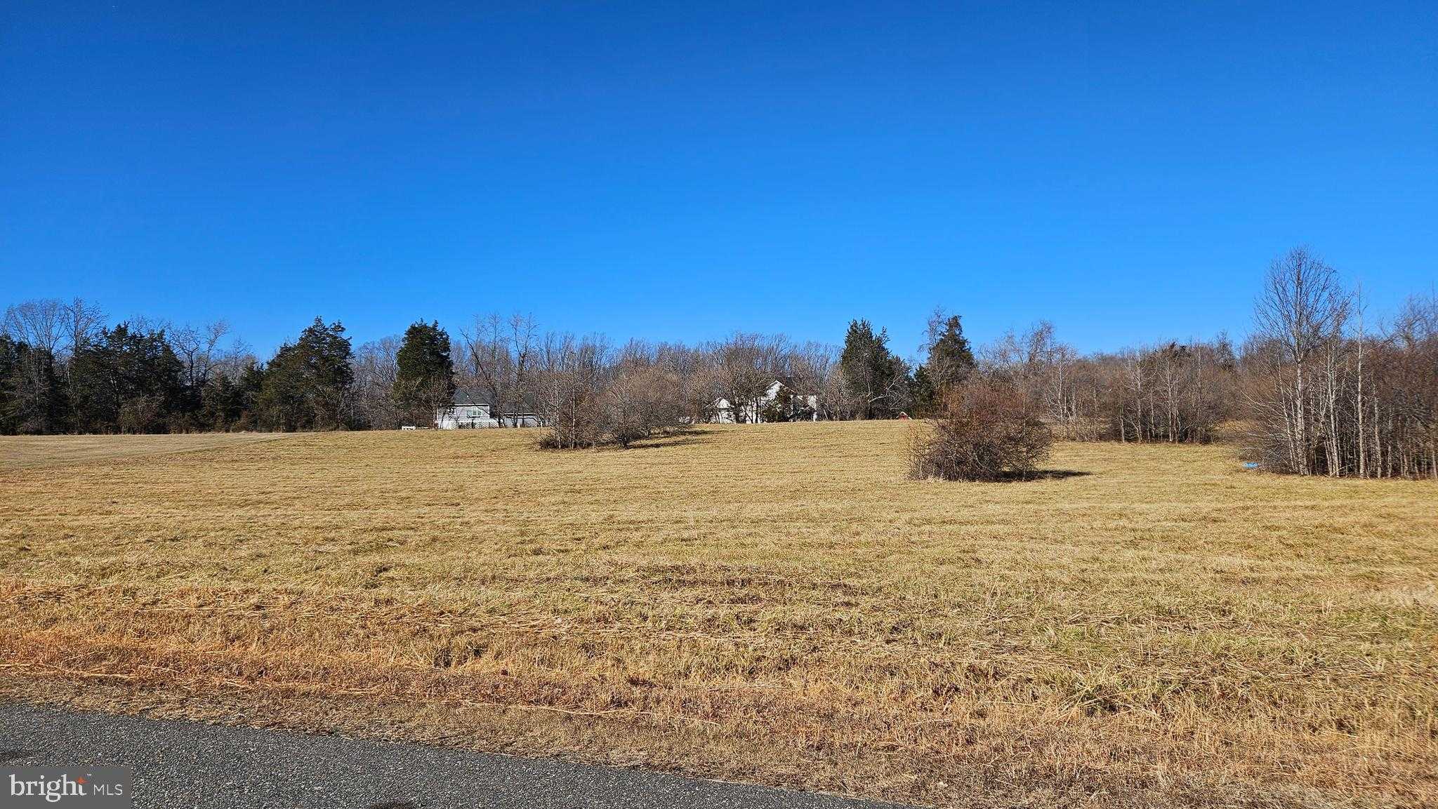 64 Bridlewood Ln photo 6